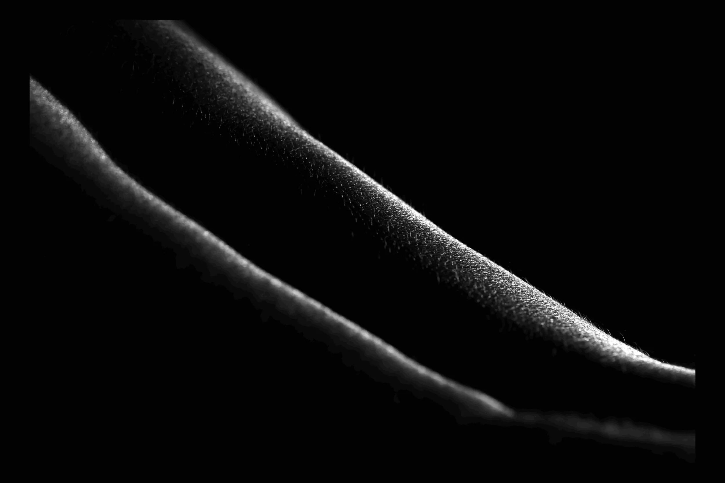 Canyon carved into the landscape of the body.