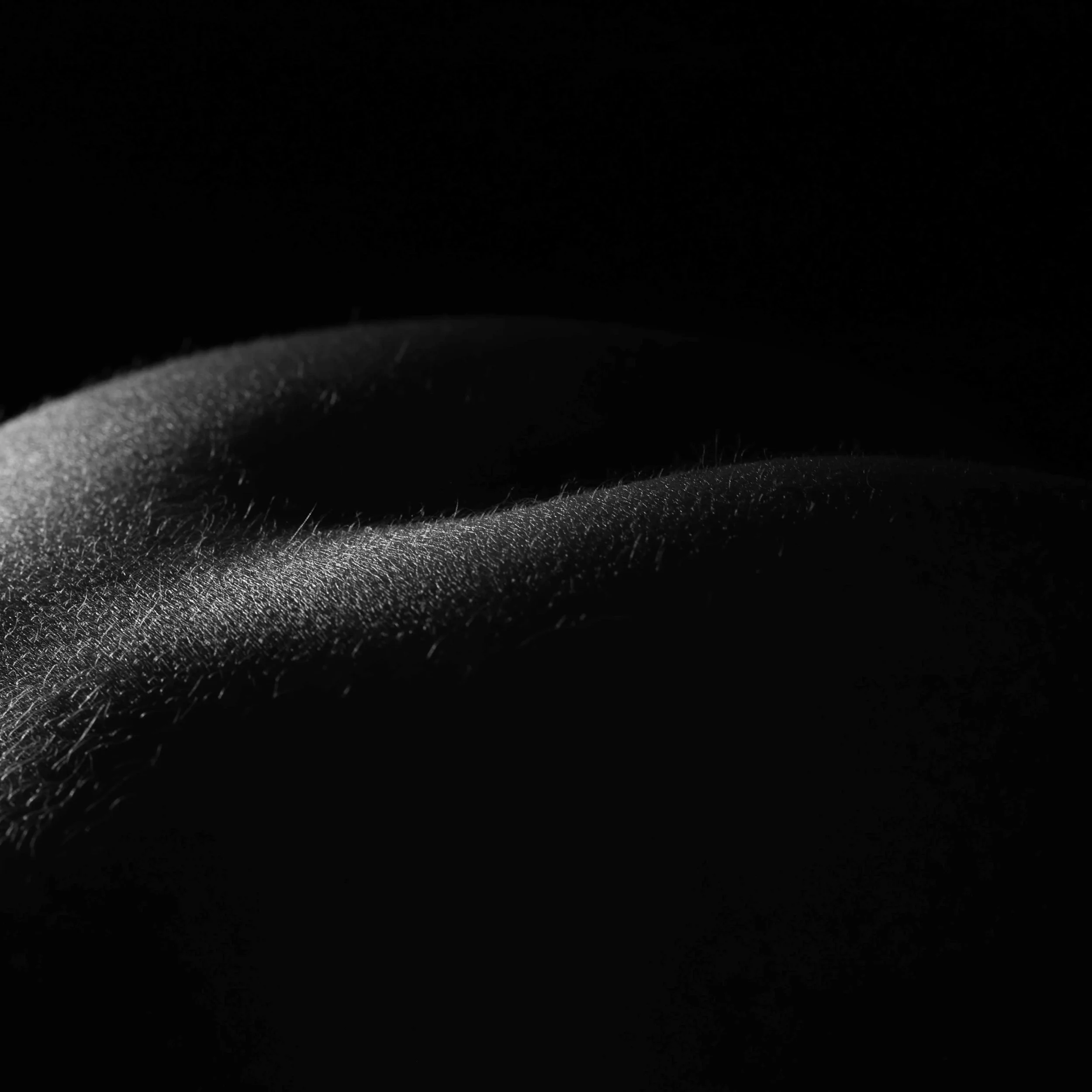 Soft abstract body scape detail in black and white