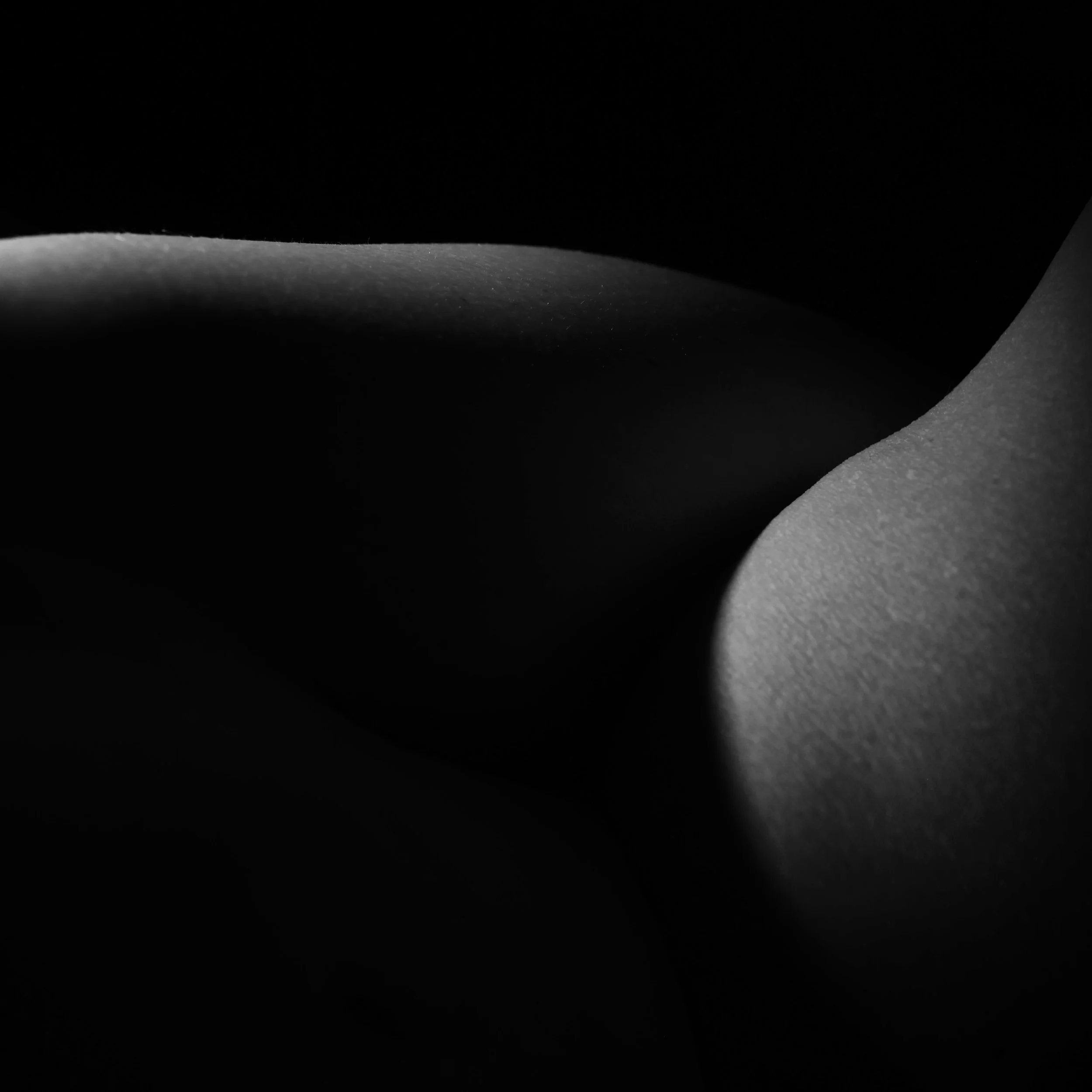 Close-up curves, in black and white, with soft lighting and shadows creating abstract shapes.