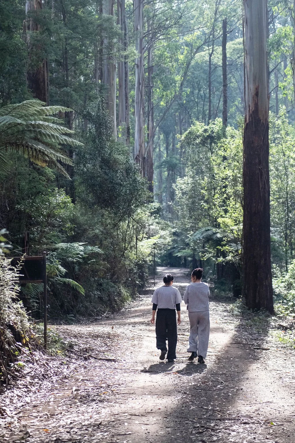 For purpose businesses