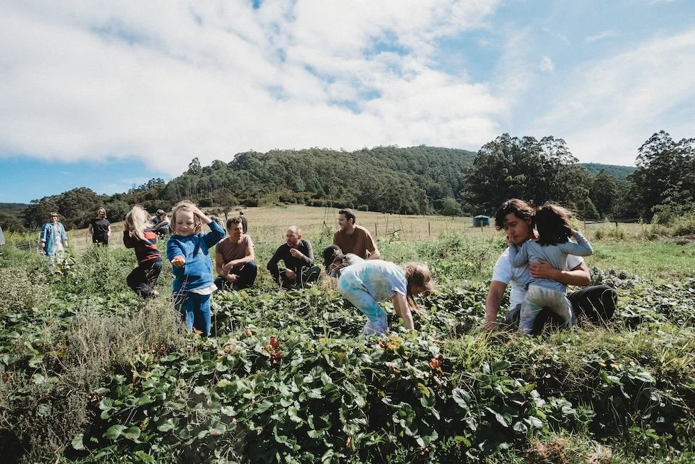 Families / communities