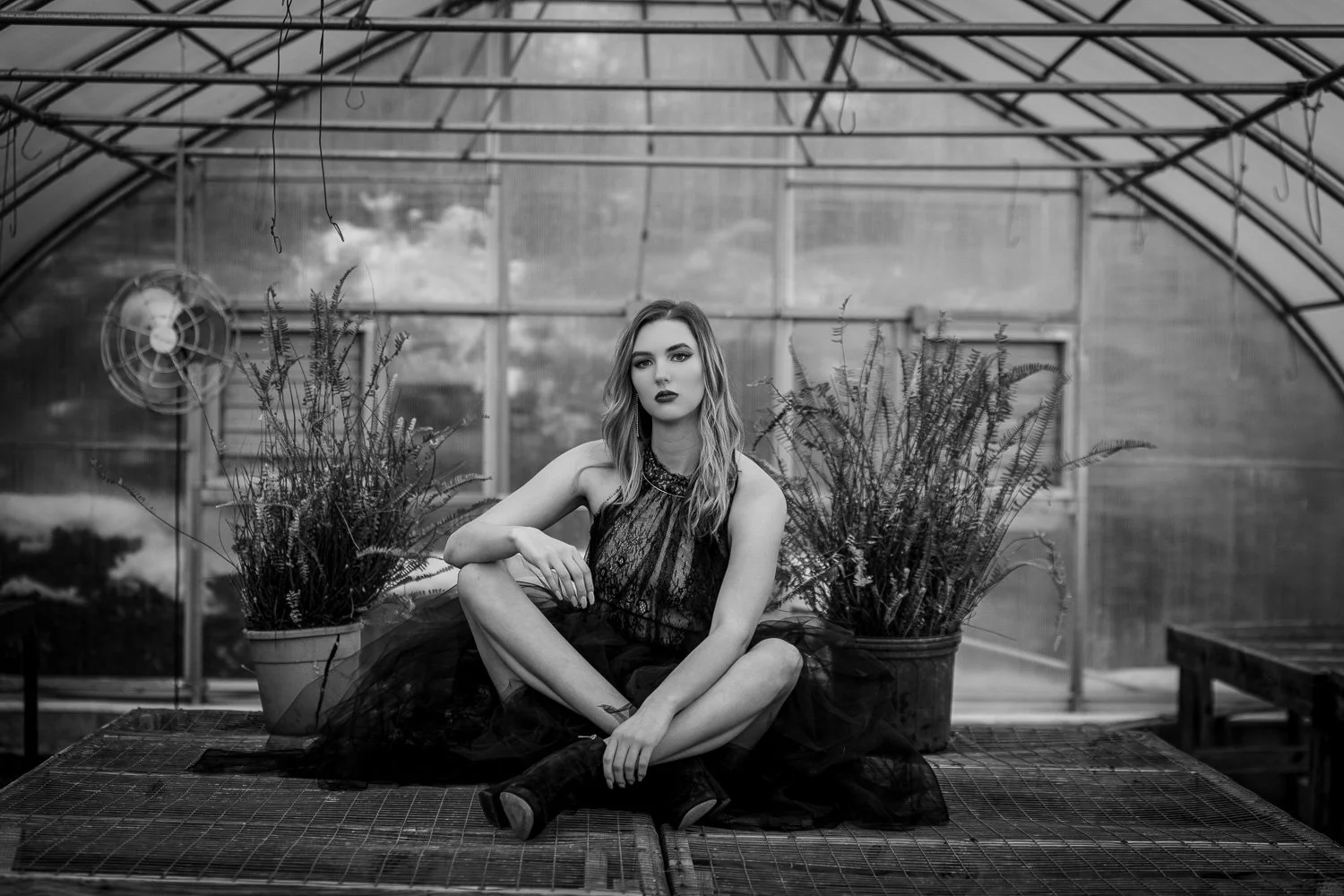 LA Photographer-jpg.jpg