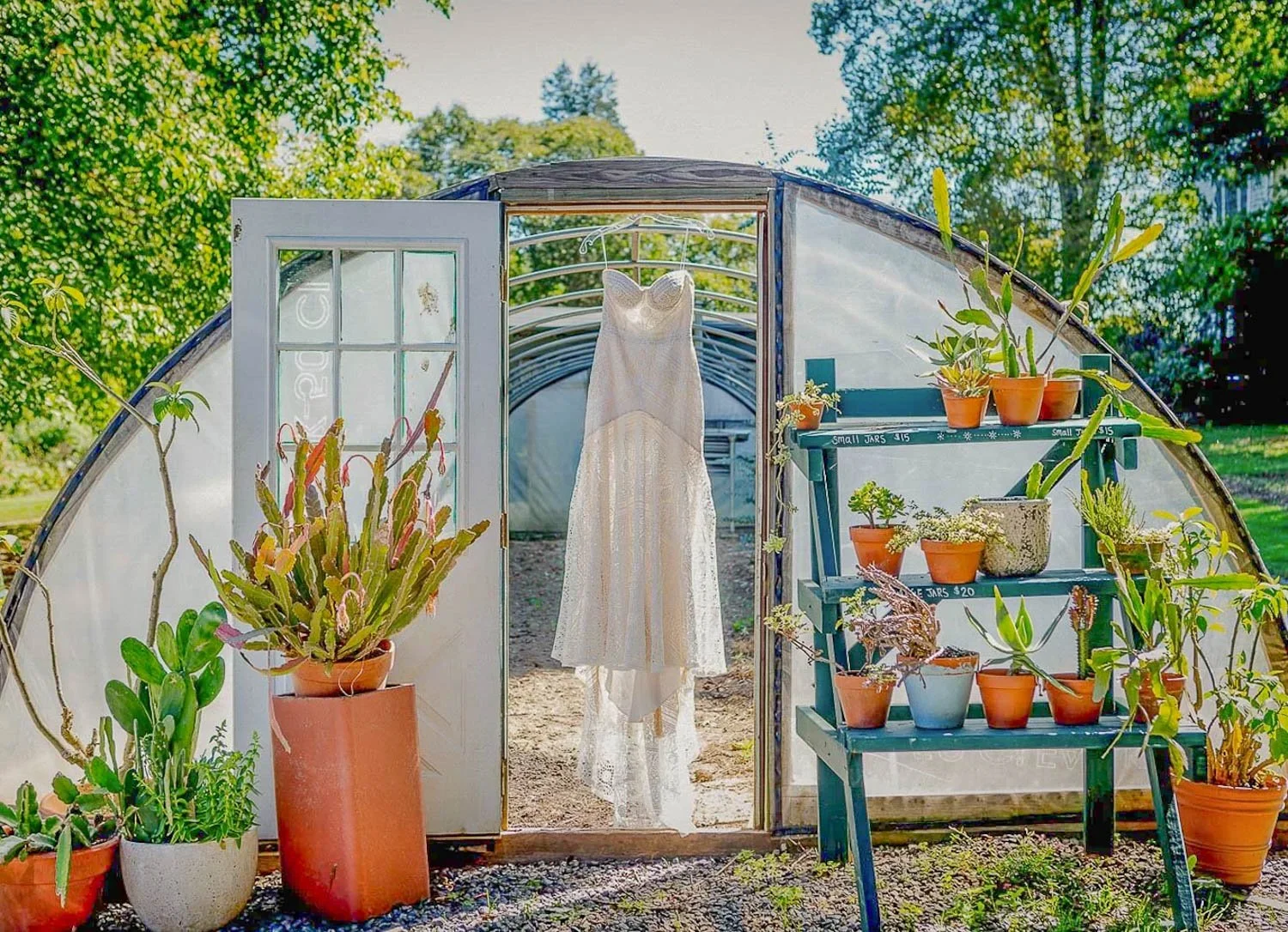 A white wedding dress hangs inside a greenhouse with potted plants outside. The greenhouse has a glass door and curved roof, surrounded by greenery.