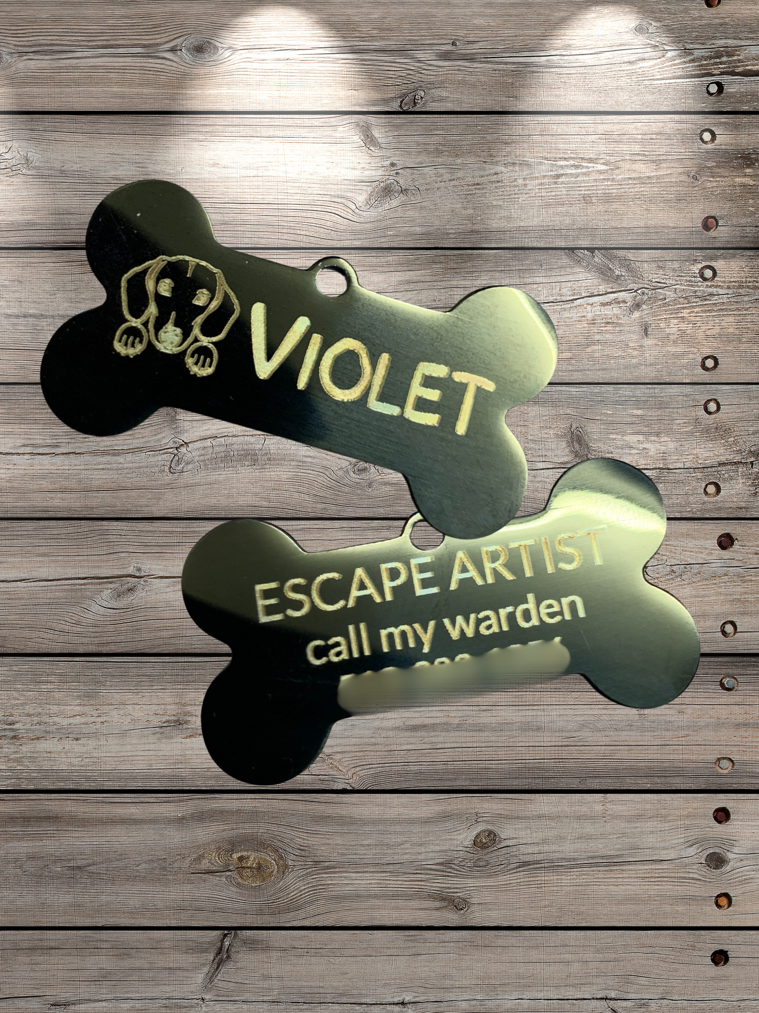 Laser engraved, stainless steel dog tags