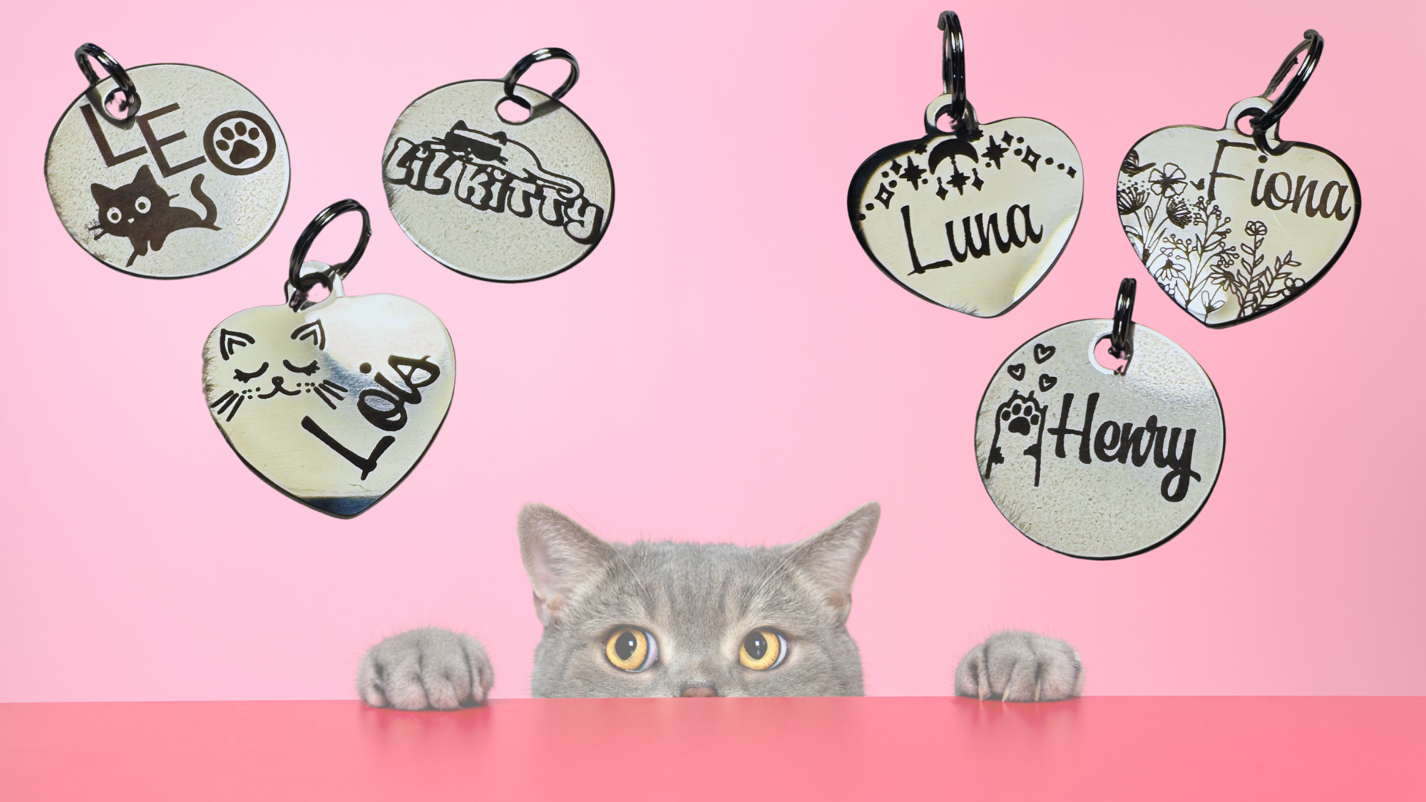Stainless steel pet tags