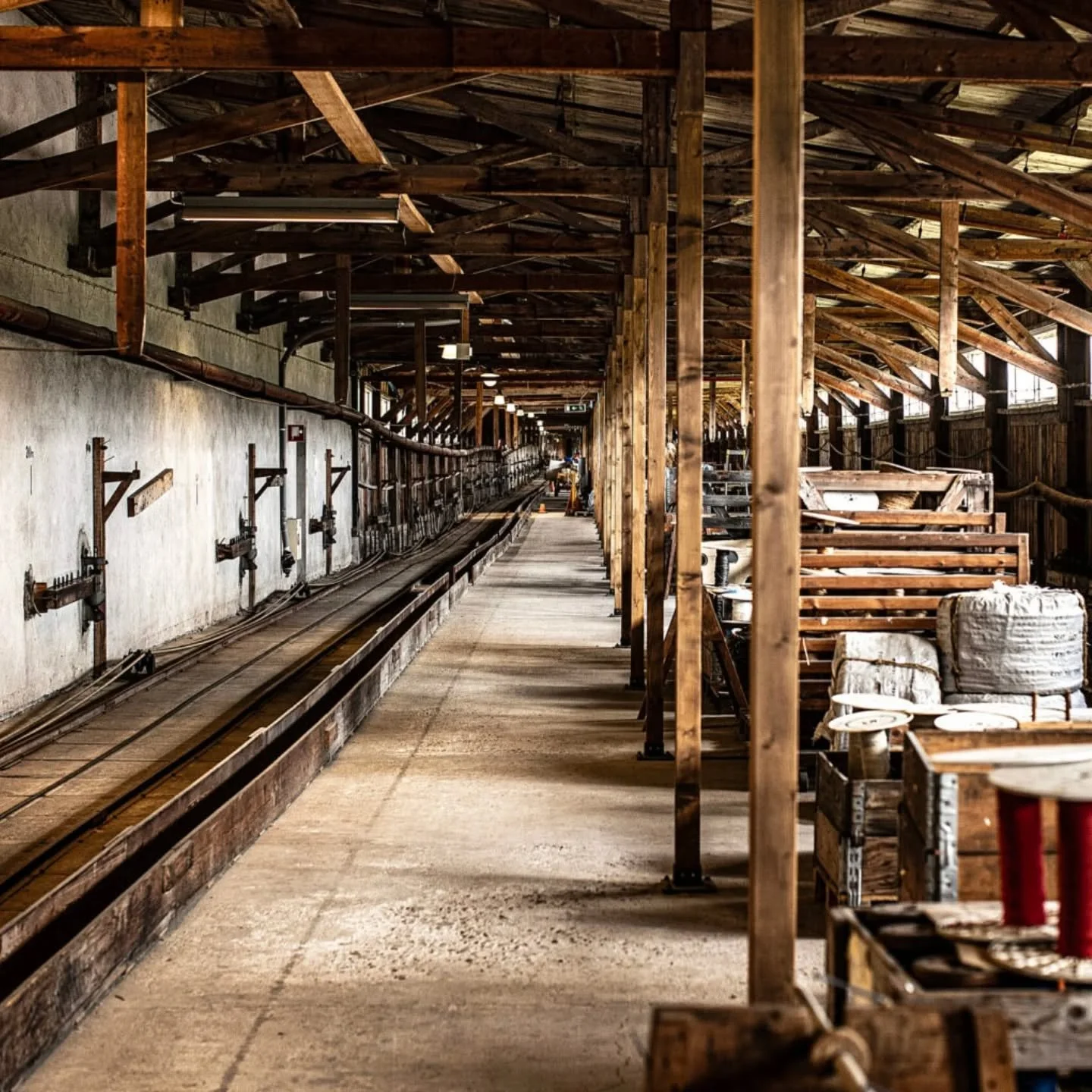 Welcome to the 🪢Age of Rope🪢! This account is dedicated to the findings of a research project led by professor Christy Anderson and research assistant Nica Fleming, both in the department of Art History at the University of Toronto.

Professor Ande