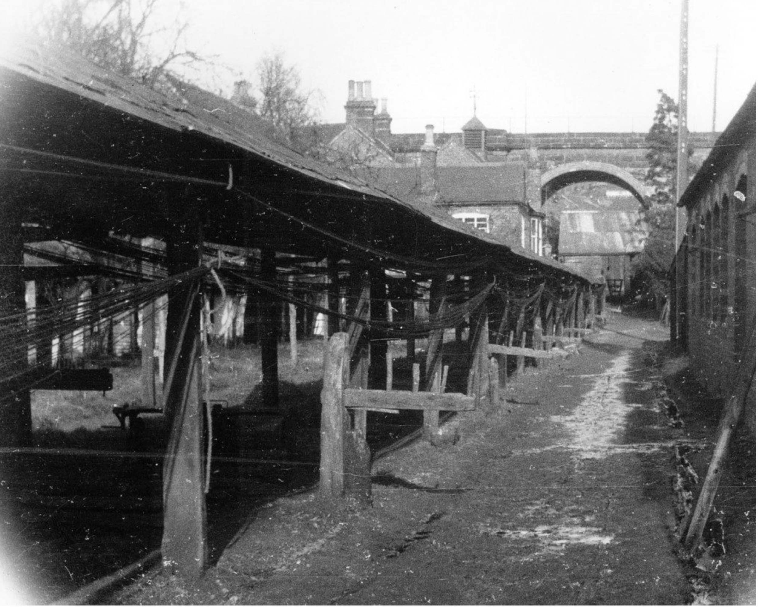 The Age of Rope, Part 1: Manufacture