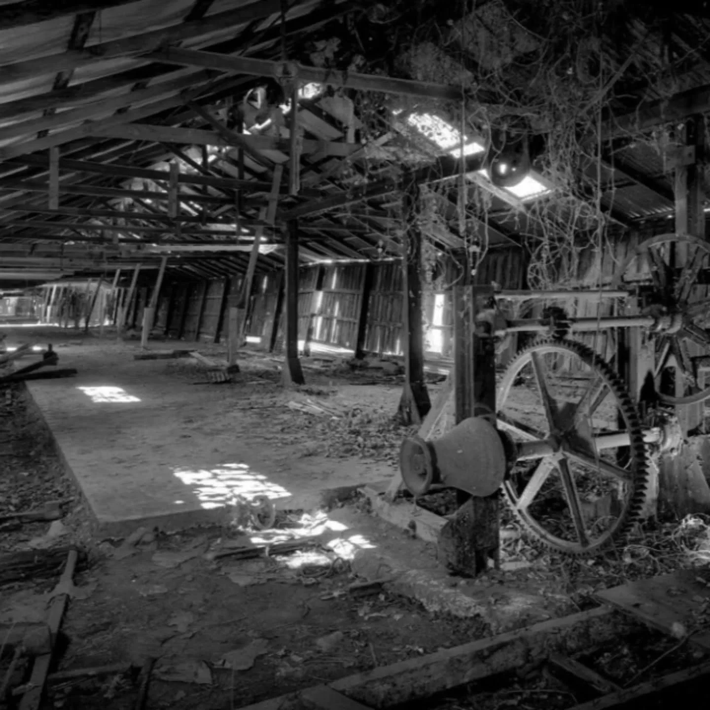 Donaghy&rsquo;s Fairview Ropewalk (Geelong, Australia, 1874)
#RopewalkOfTheWeek

This ropewalk is not remembered for its architecture, or its industrial output, but instead, for its company Christmas party! 🎄

In 1852, Irishman Michael Donaghy arriv