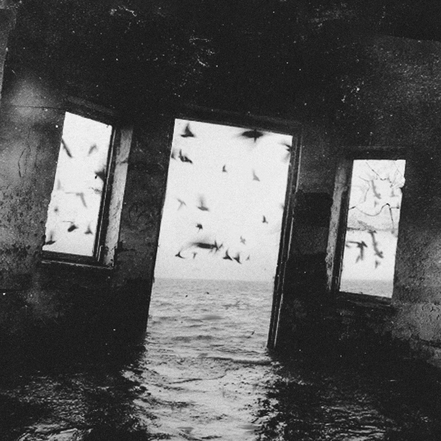 &lsquo;haven&rsquo;t seen you in a while&rsquo; 
out next fridayㅤ ꨄ︎. 

arguably our least pessimistic song to date? who knew. 

cover art by @takiisbranding