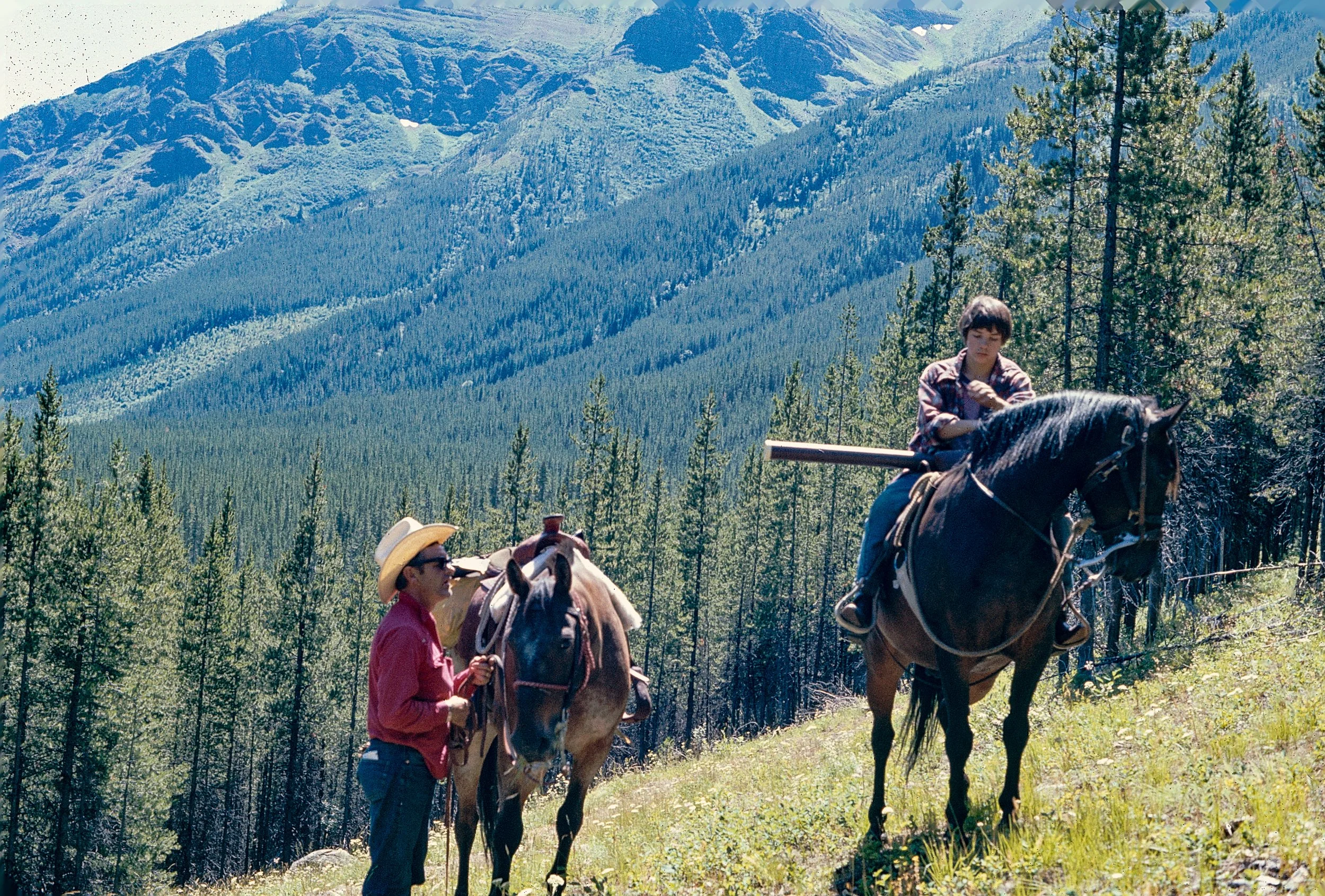 Two people horseback riding in a forested mountainous area with tall trees and mountain peaks in the background.