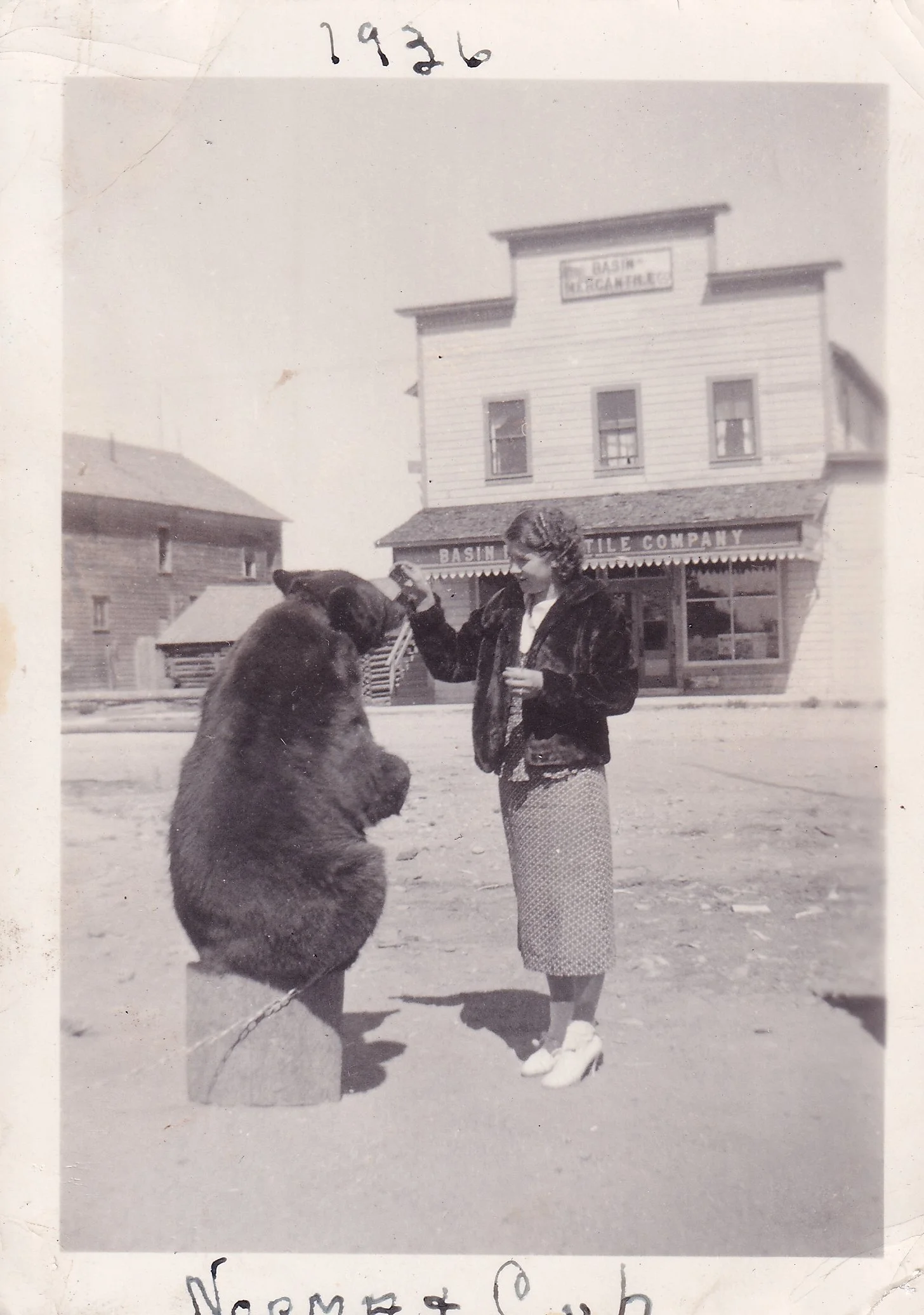 Black and white photograph of a woman and a large bear on a sidewalk. The woman is feeding or interacting with the bear, which is standing on its hind legs. Behind them are wooden buildings, including one with a sign that reads "Basin Tile Company." 