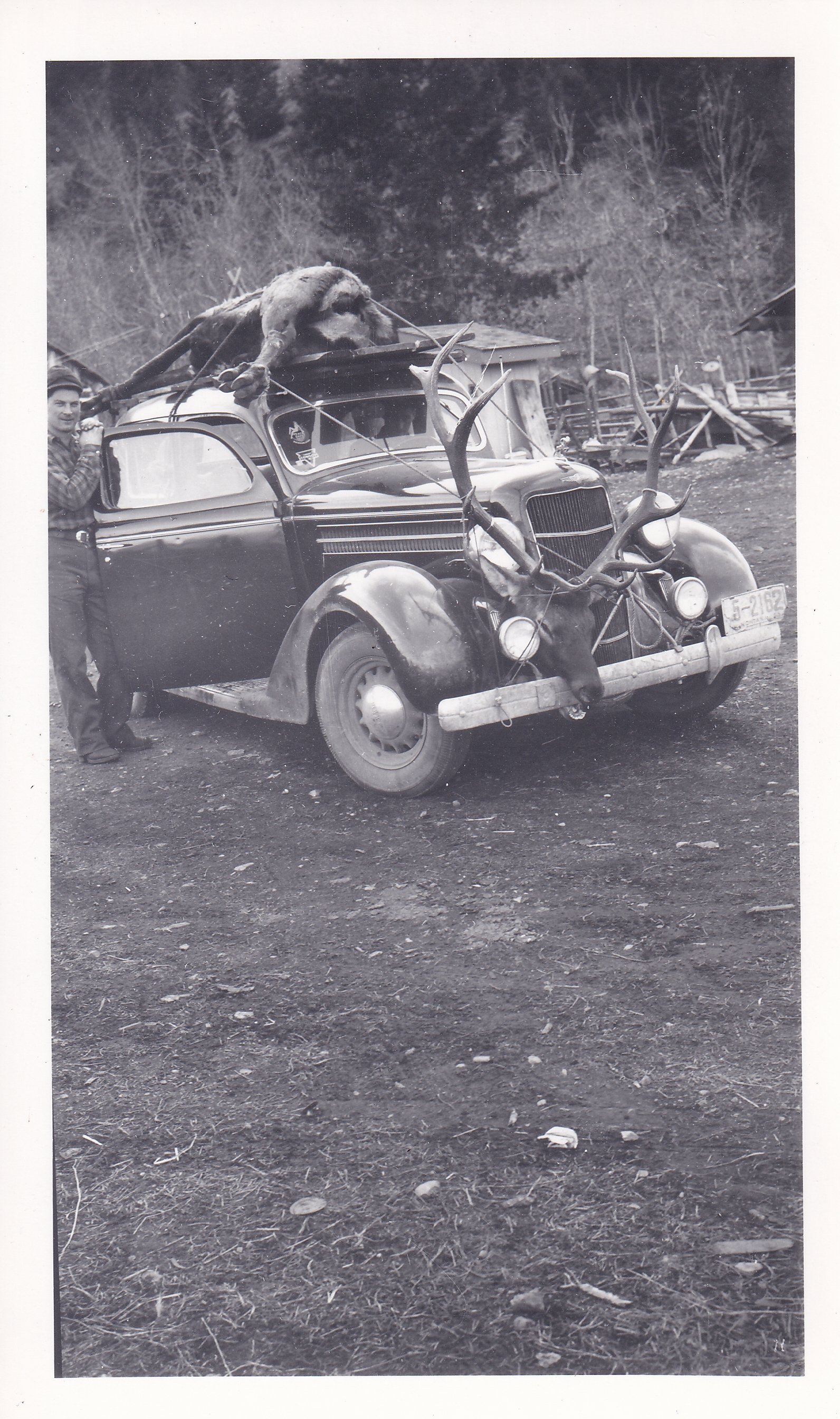 A vintage car with antlers mounted on the front, a deer head hanging from the grille, and a dead deer lying on the roof. A man is standing beside the car outdoors.