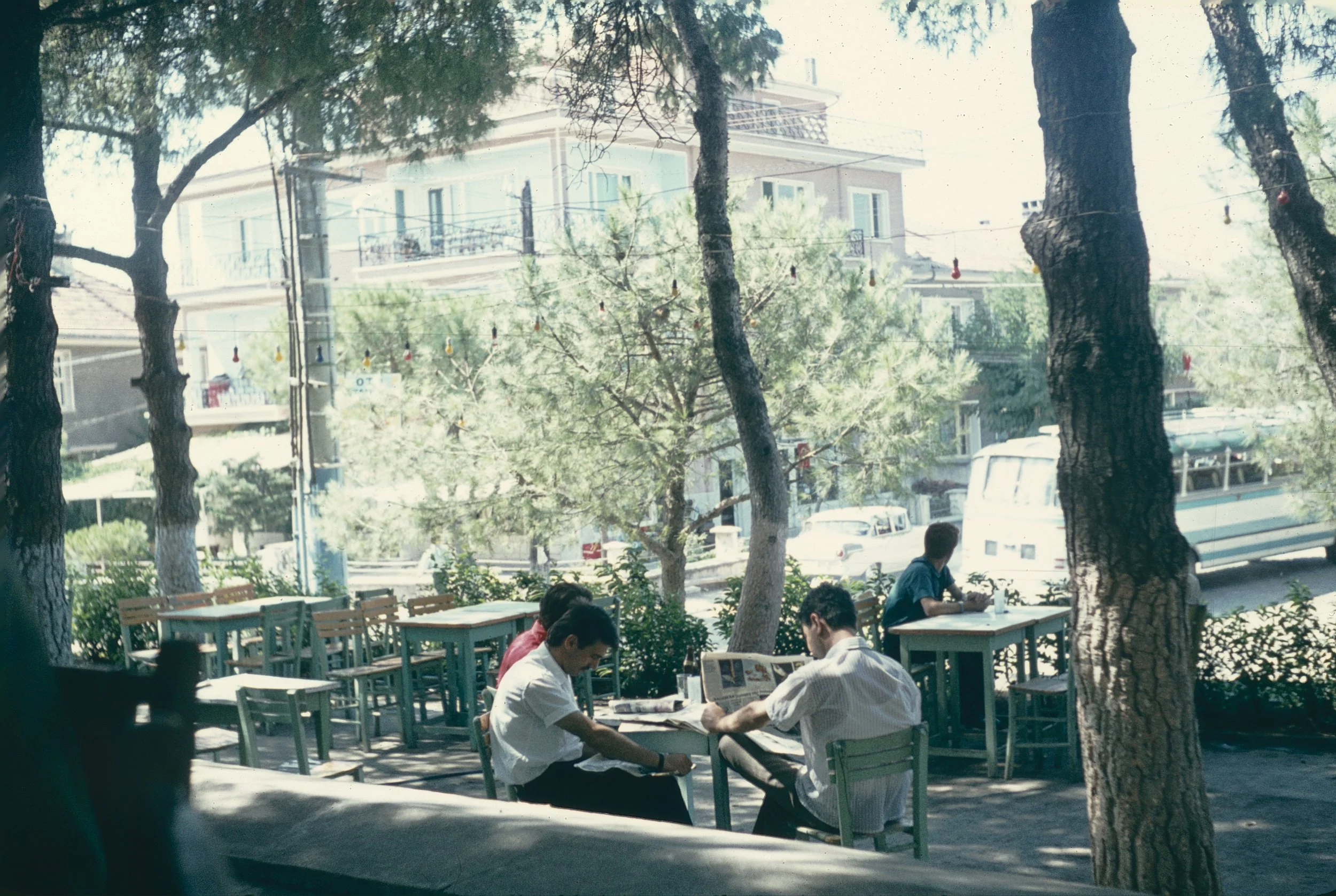 View of an outdoor cafe or restaurant with people sitting at tables under tall trees, with a building and parked cars in the background.
