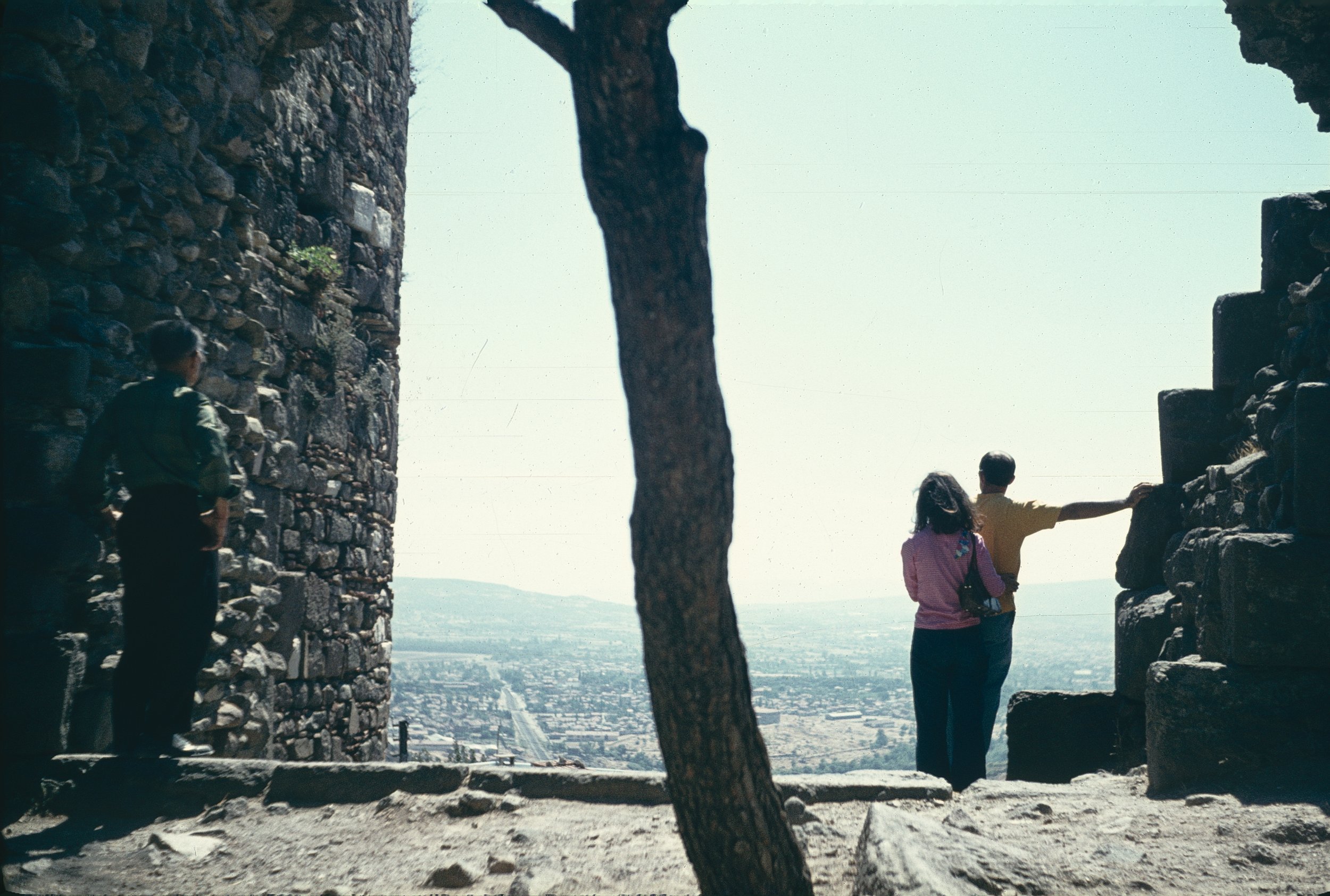 People at an ancient stone ruins site with a view of a city and landscape in the background, including a tree in the foreground.