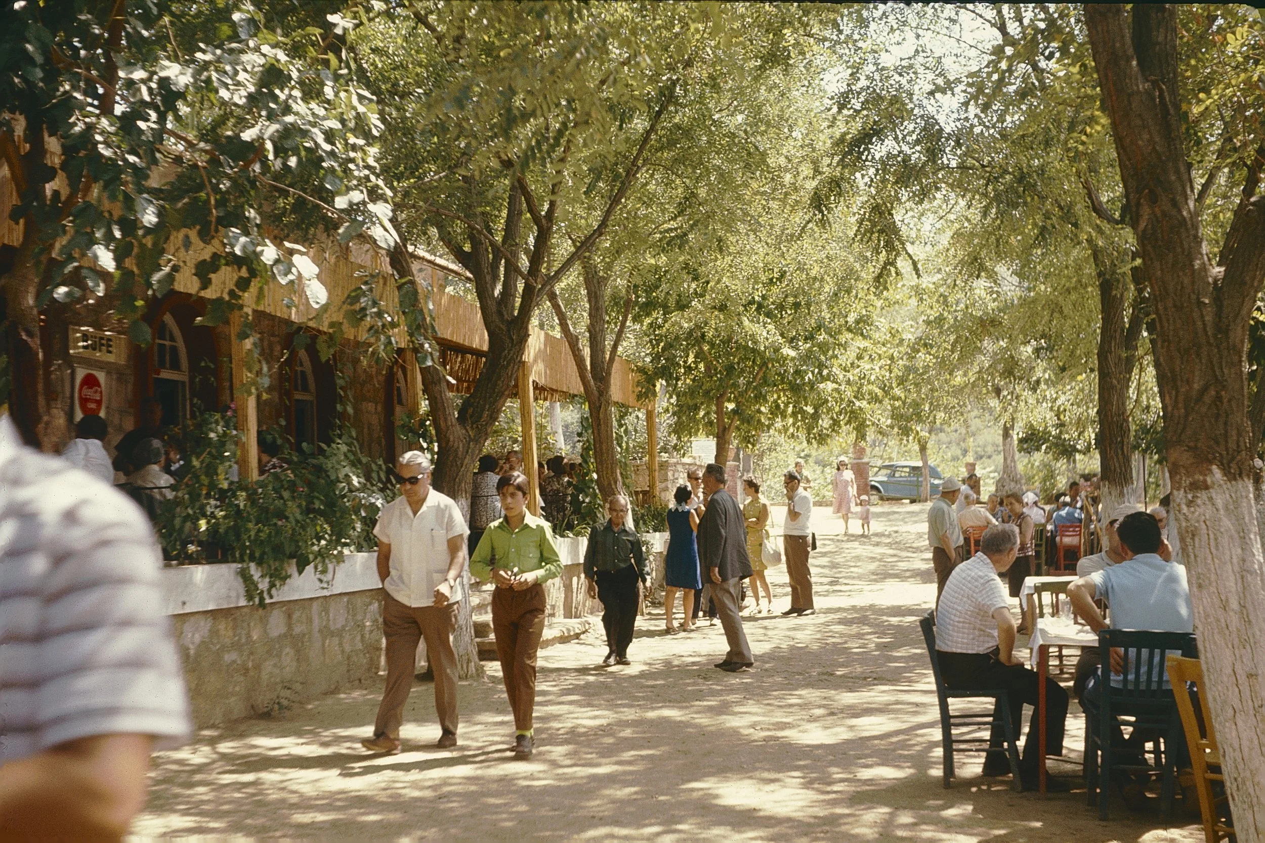 A lively outdoor scene at a park or plaza during daytime with many people walking, sitting, and socializing among tall leafy trees providing shade. There is a wooden building with windows and a small sign, and some tables and chairs arranged for outd