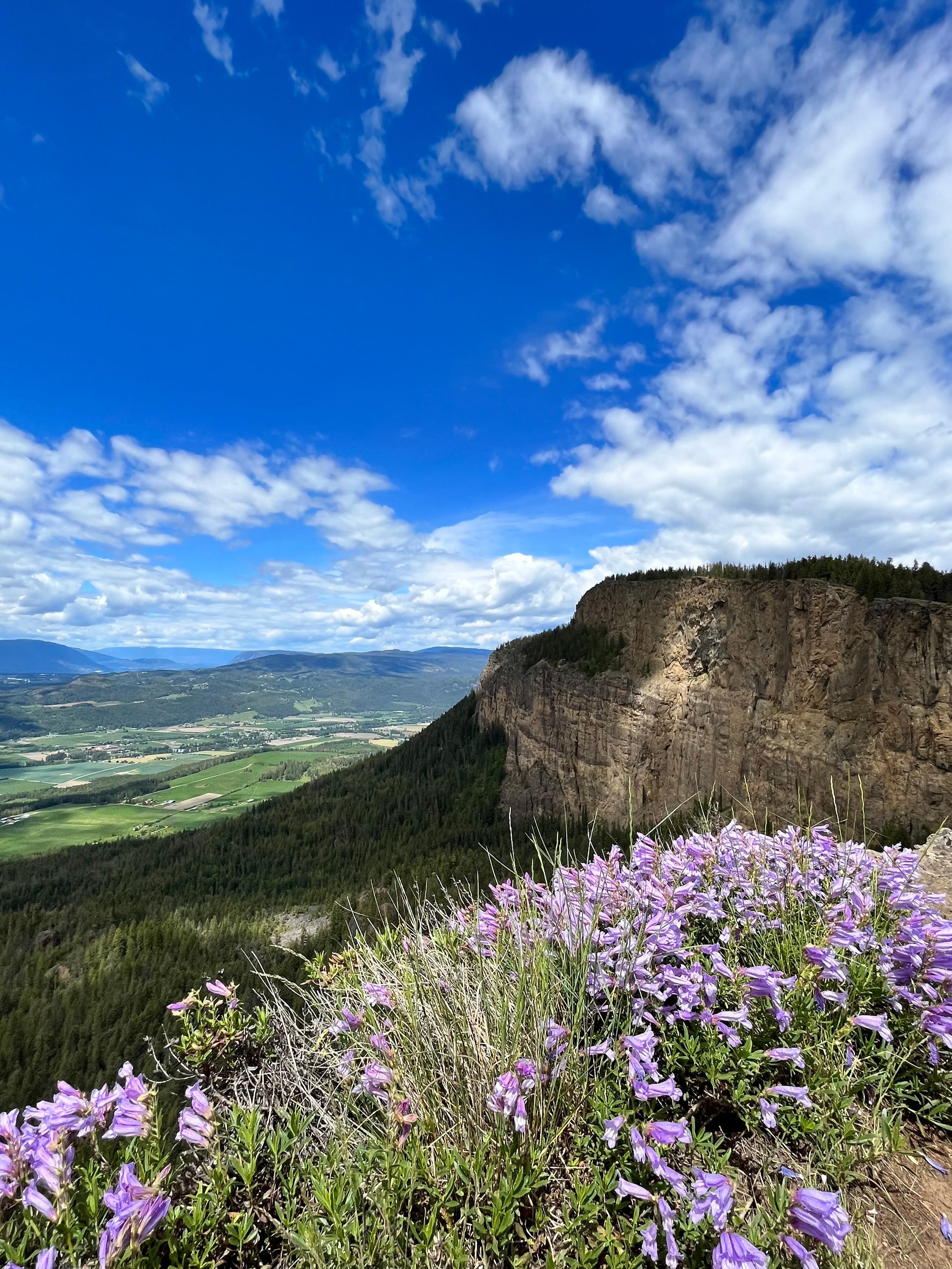 Tplaqin/Enderby Cliffs Provincial Park. Ancestral Heartbeat Tours. Enderby, B.C.