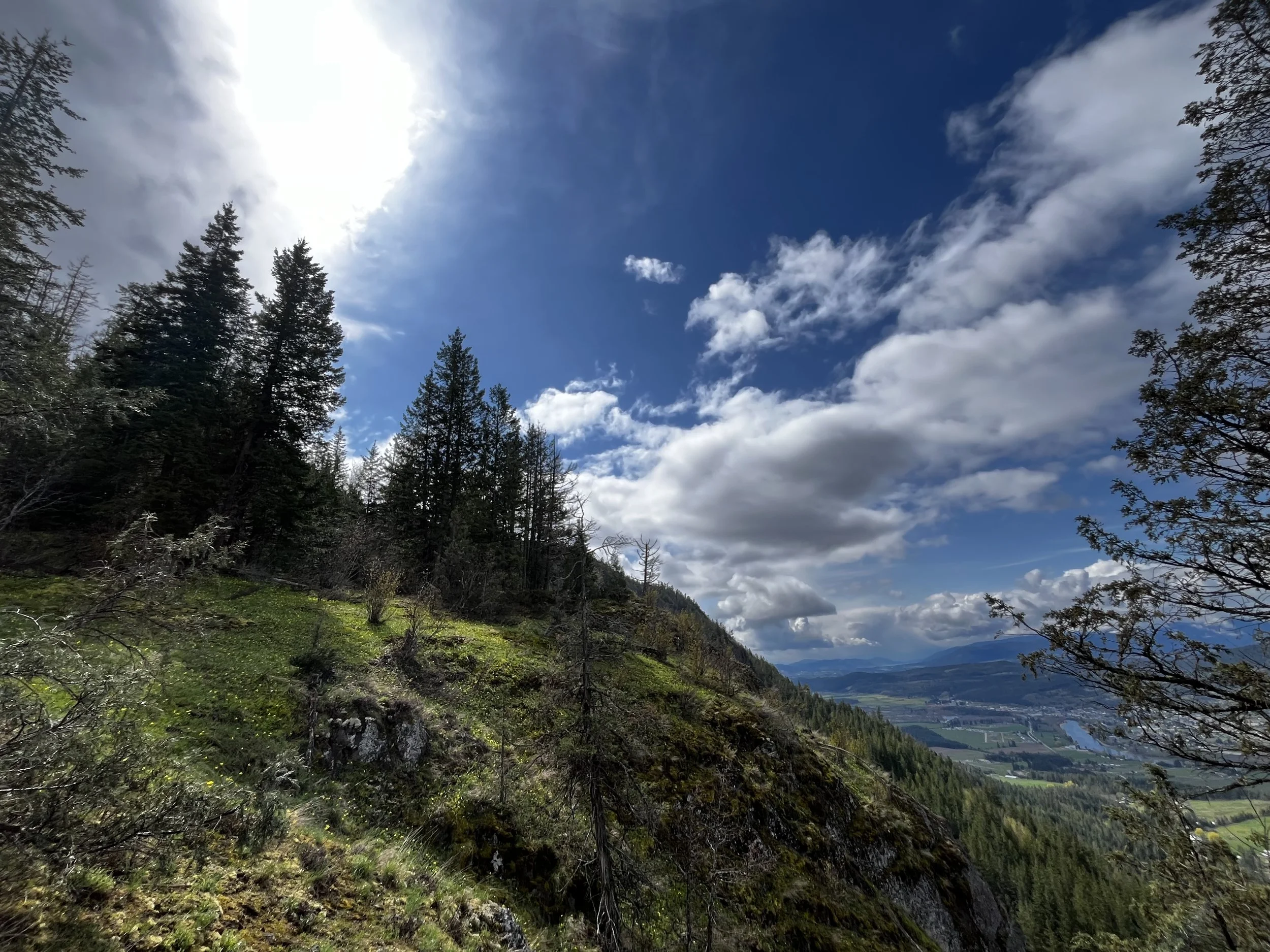 Ancestral Heartbeat Tours. Tplaqin/Enderby Cliffs Provincial Park. Enderby, B.C.