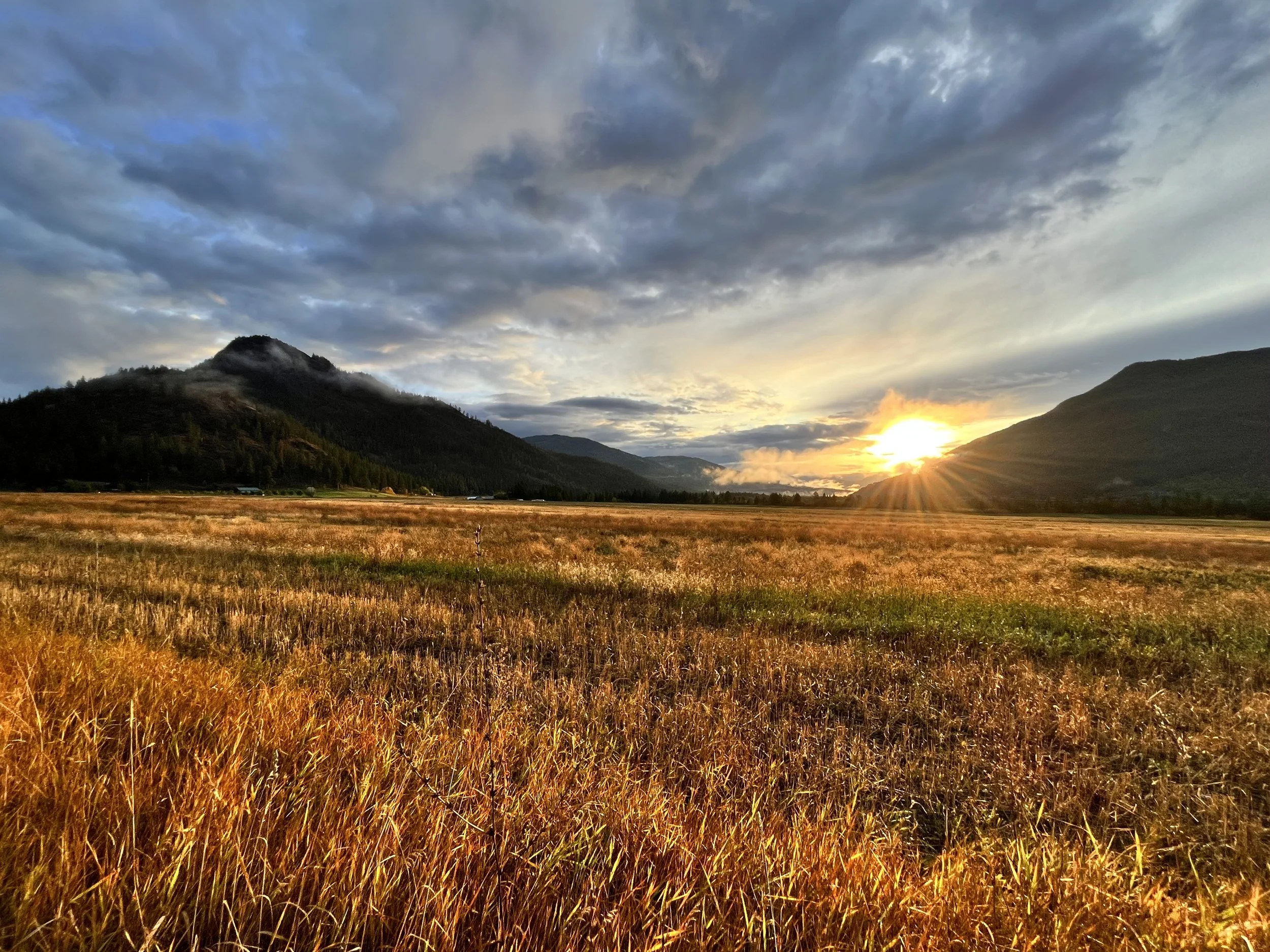 Ancestral Heartbeat Tours. Enderby, B.C.