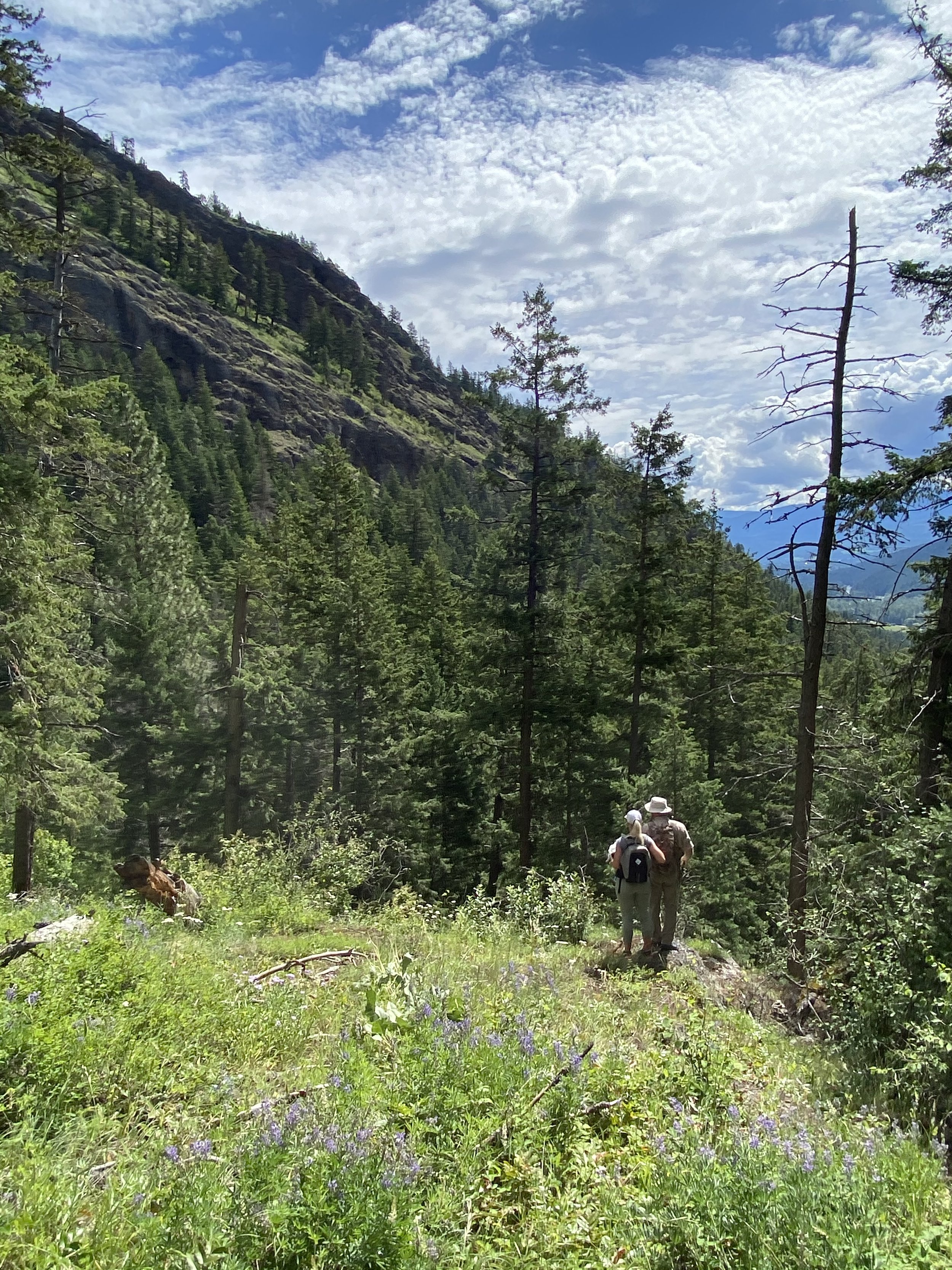 Ancestral Heartbeat Tours. Tplaqin/Enderby Cliffs Provincial Park, Enderby, B.C.