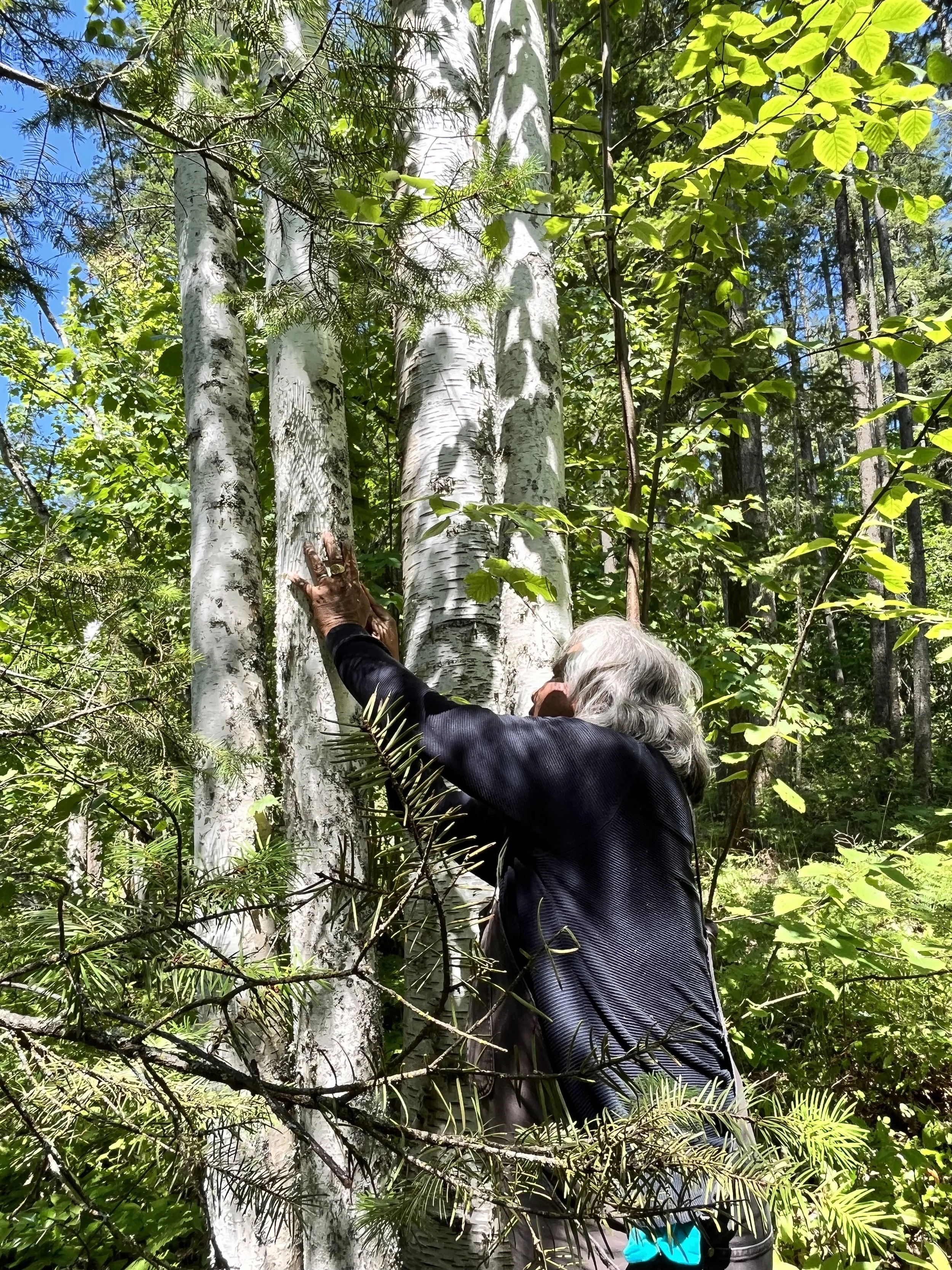 Secwépemc Elder, Gerry Thomas. Ancestral Heartbeat Tours.