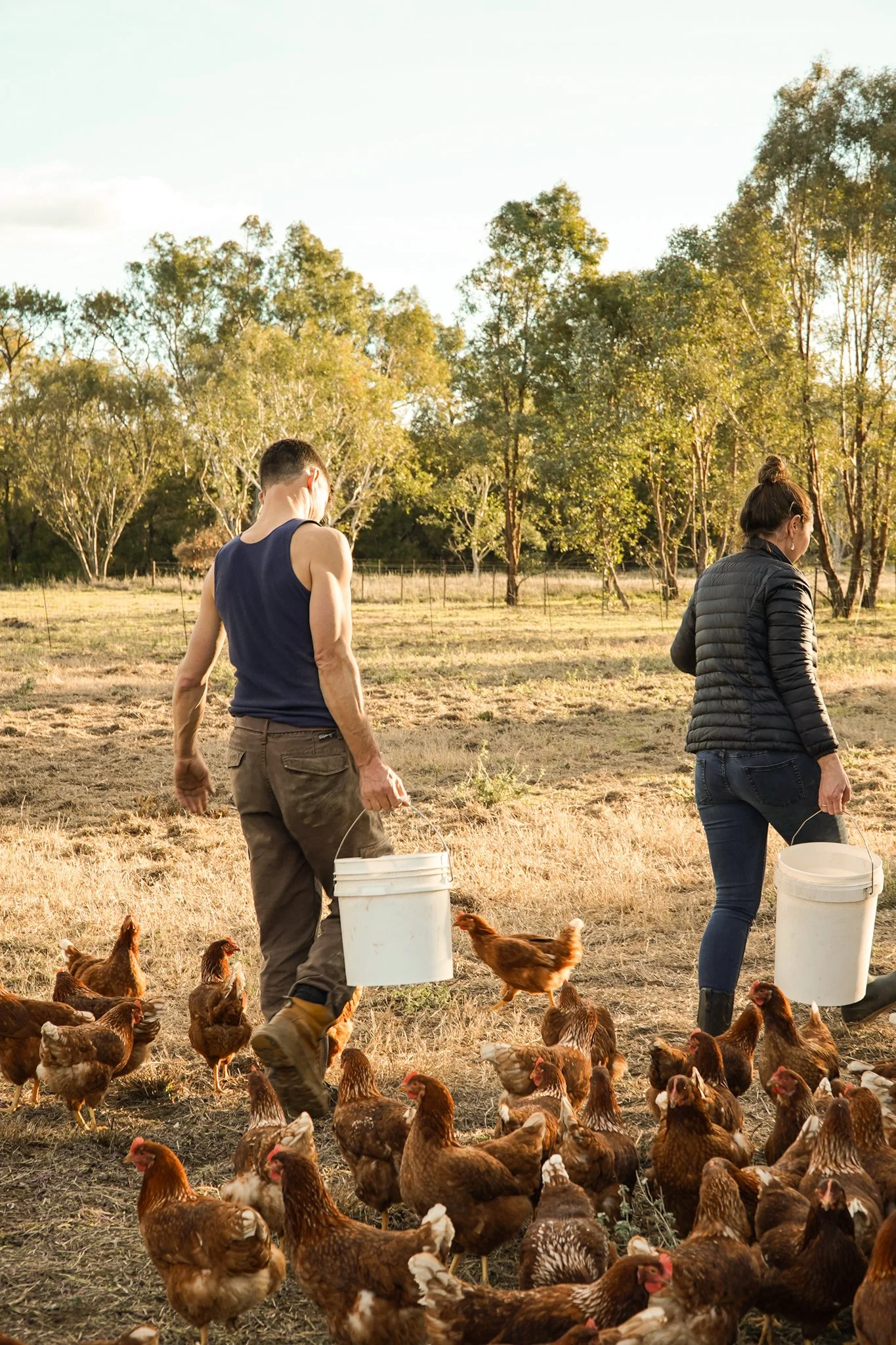 Two people walking through a farm area with chickens, carrying buckets, with trees in the background.