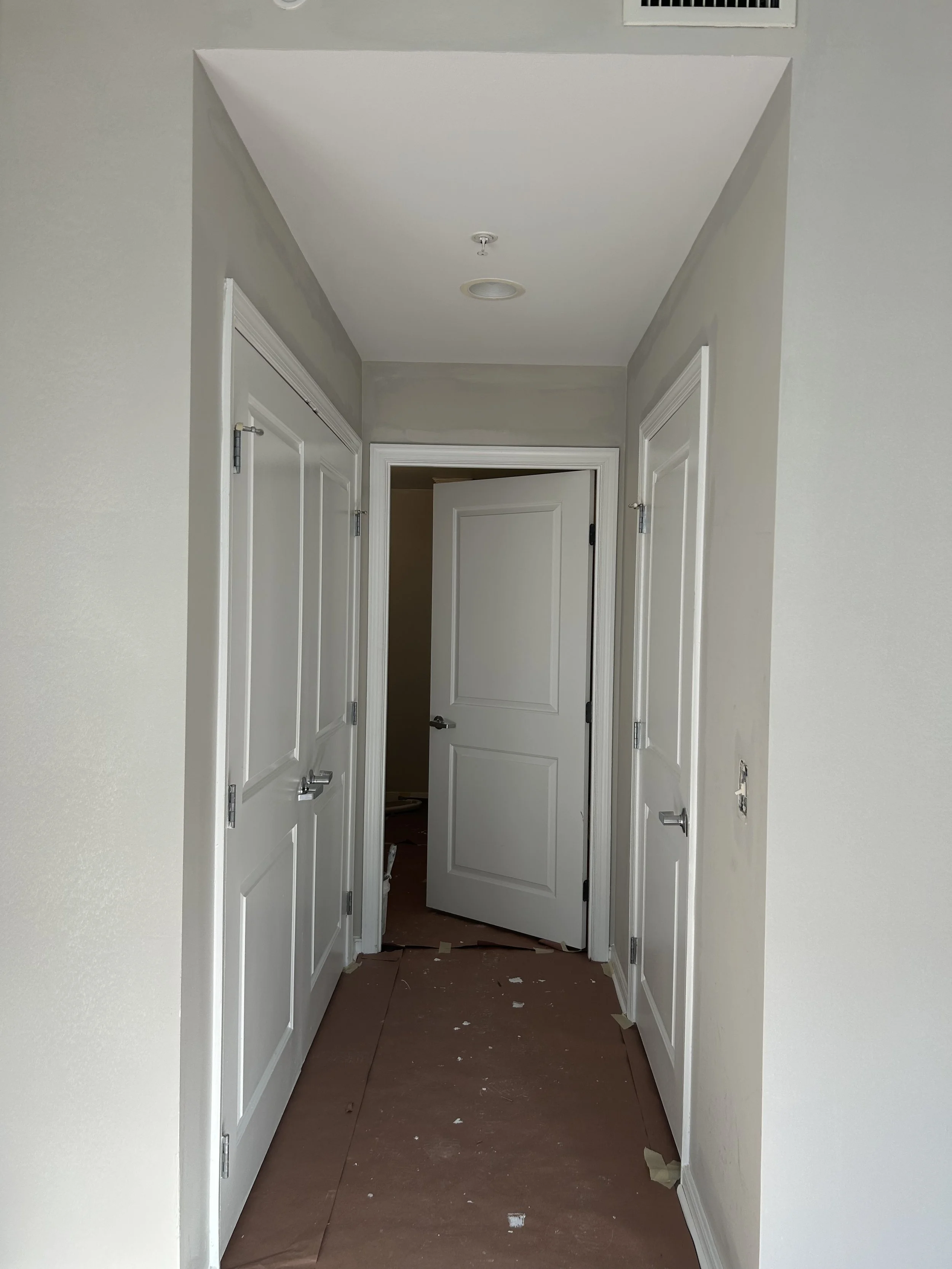 Professional Paint & cleaning Services