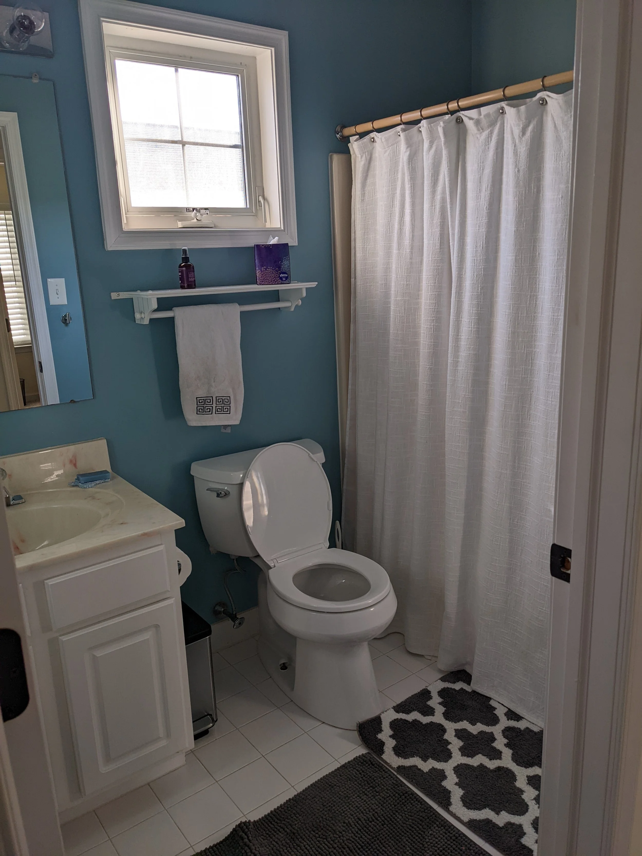Hallway bathroom - shower & tub