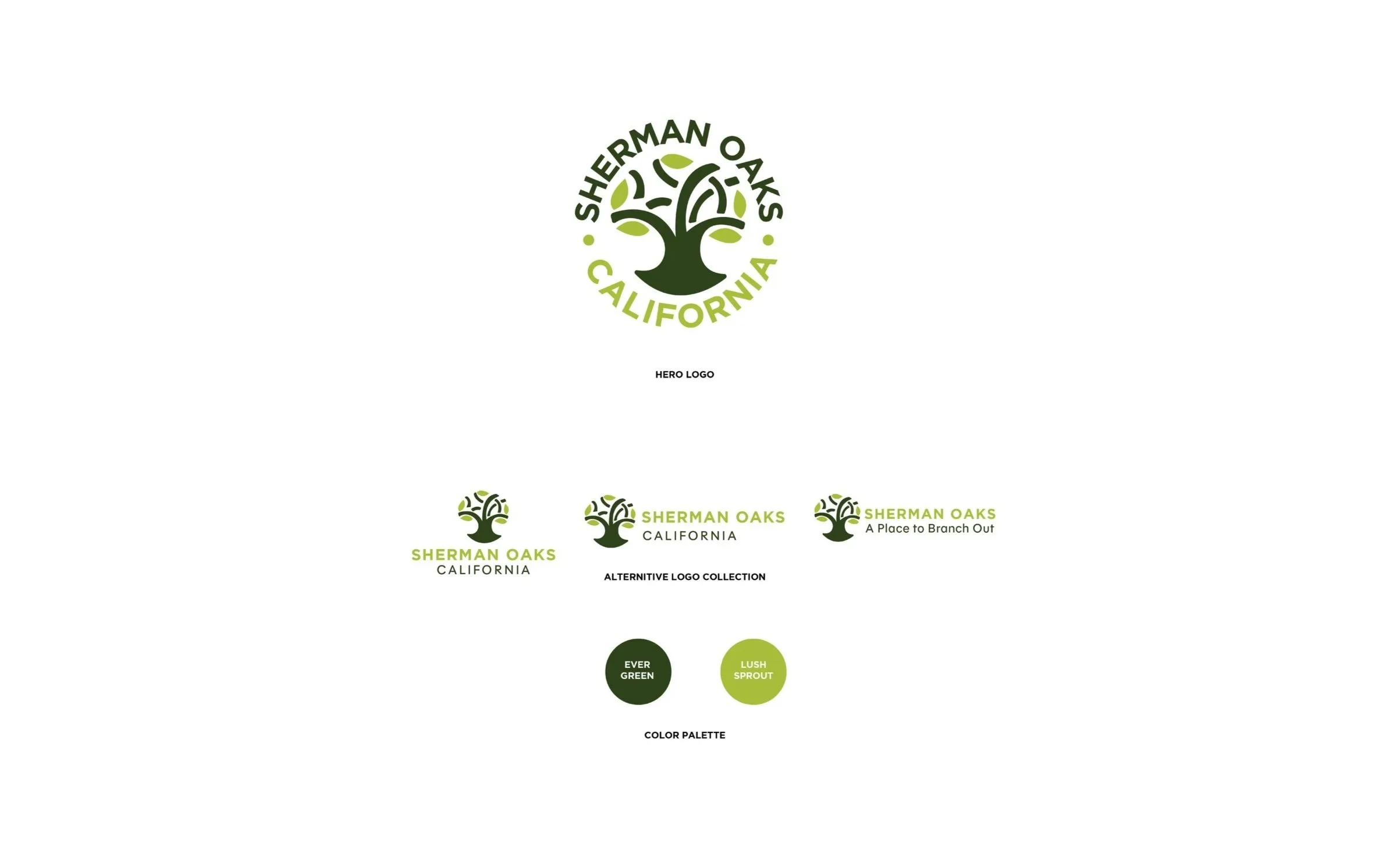 websitepiclogo.jpg