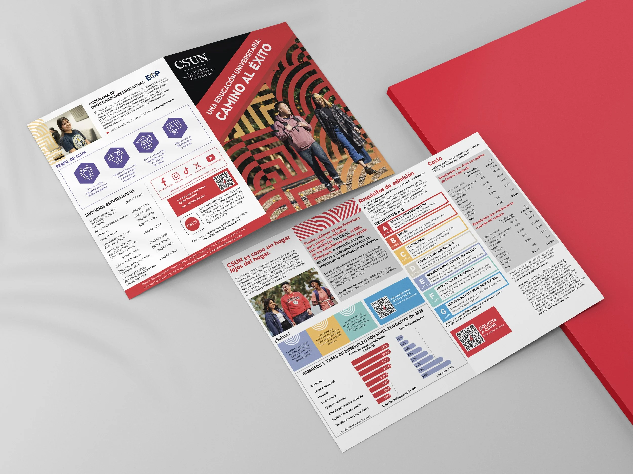CSUN BI fold-portfolio.jpg