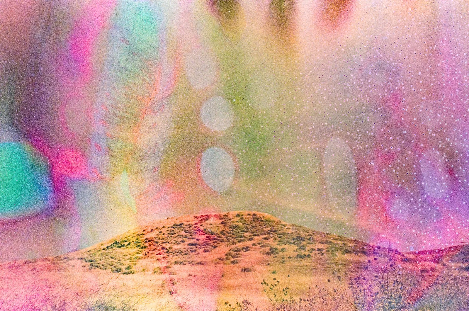 california hills soup_websize.jpg