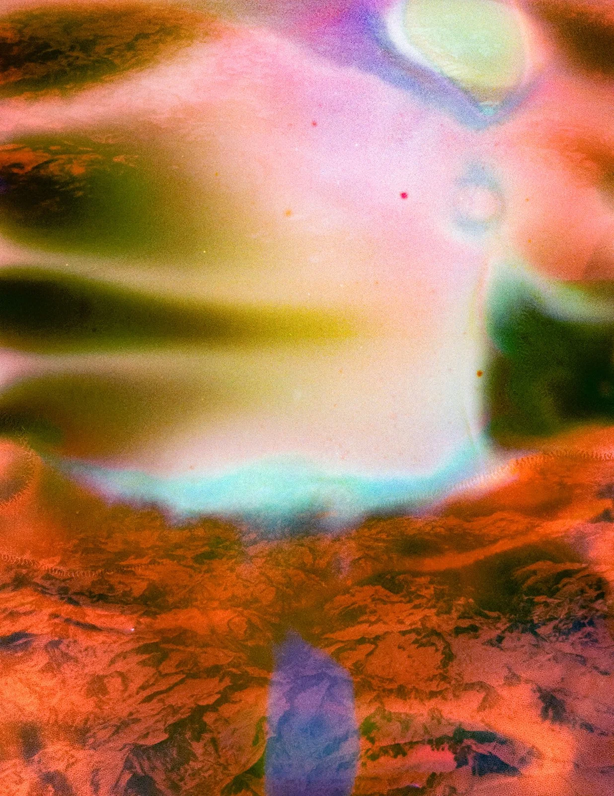 birds eye soup_websize.jpg