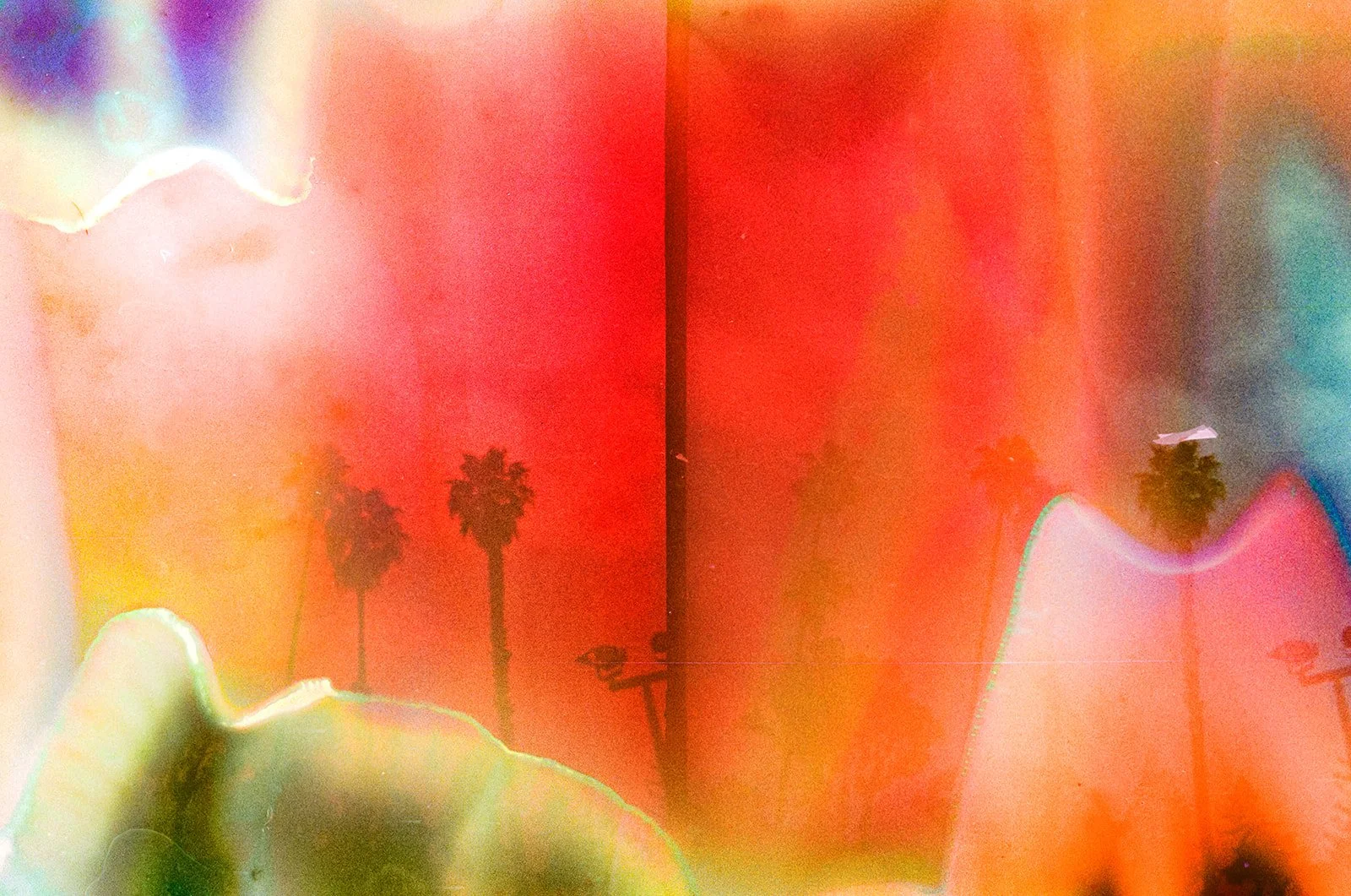 palm trees and soup_websize.jpg