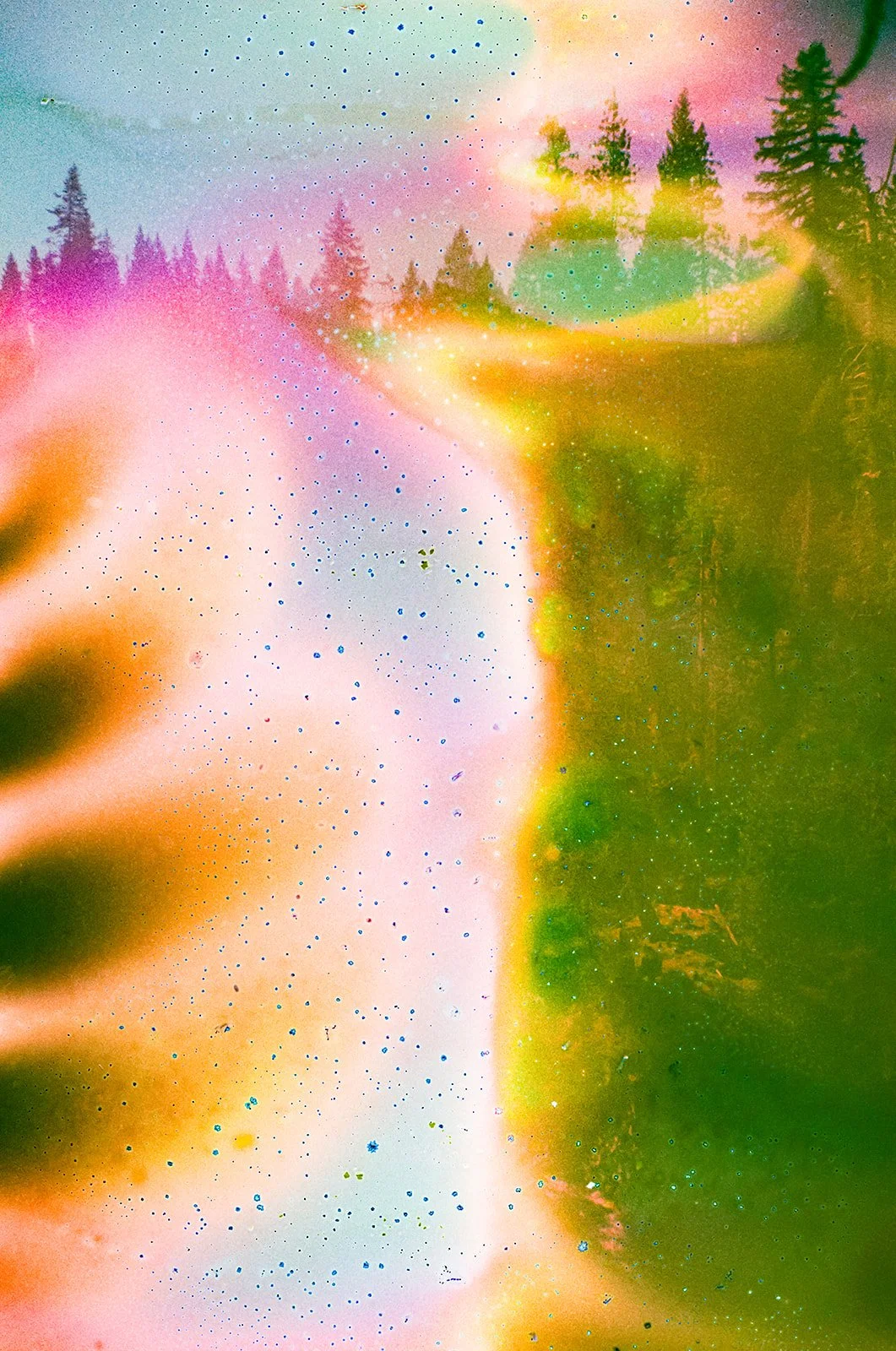 oregon soup_websize.jpg