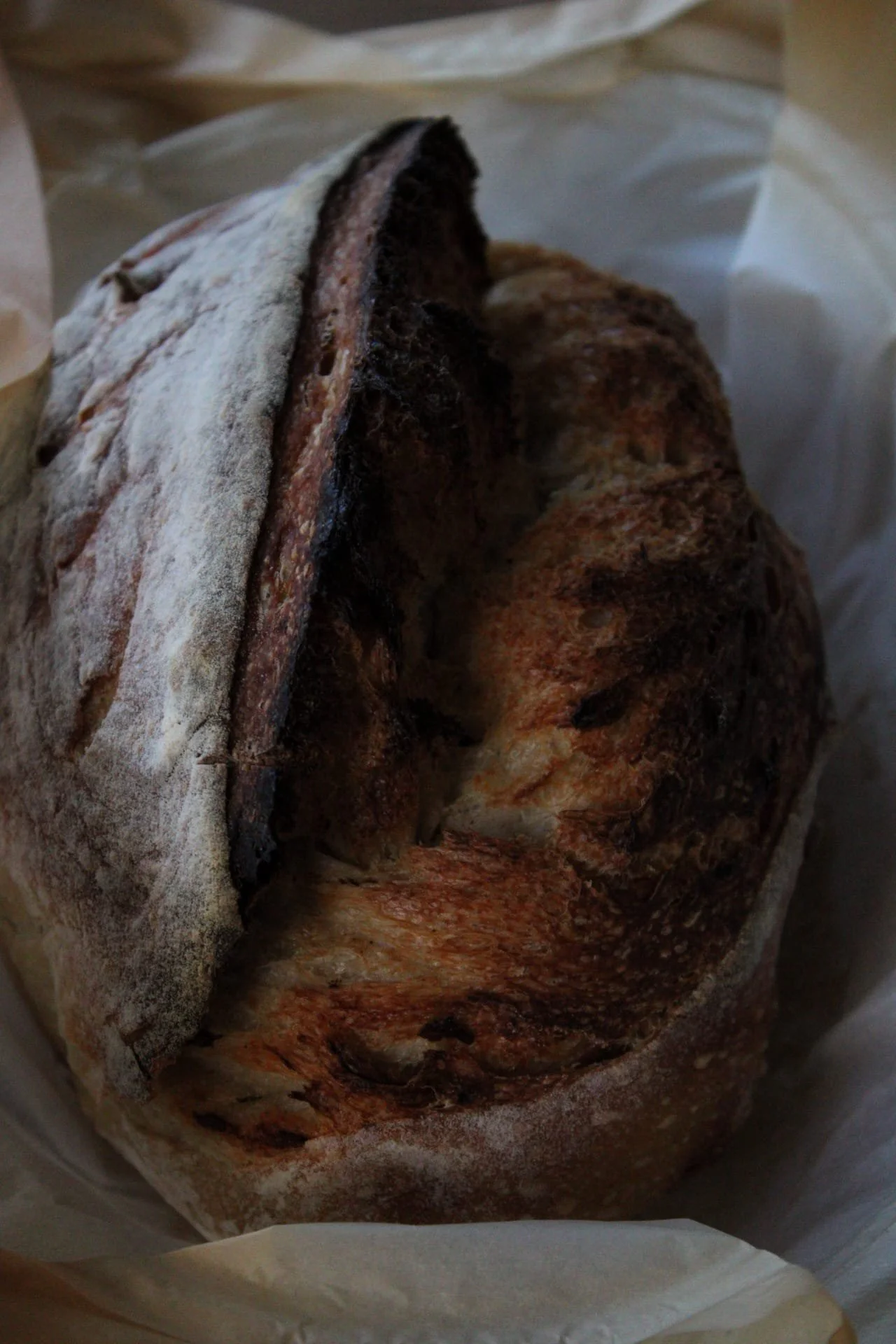 sourdough2.jpeg