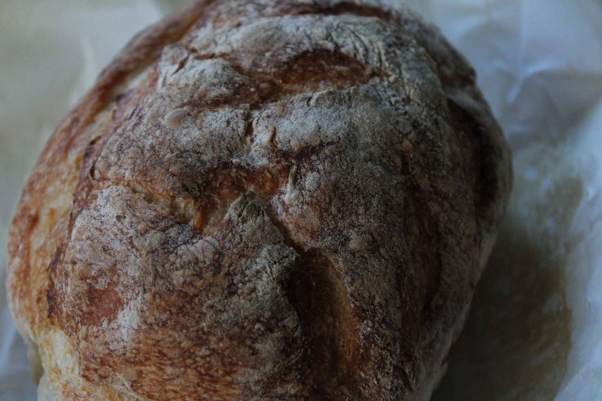sourdough3.jpeg