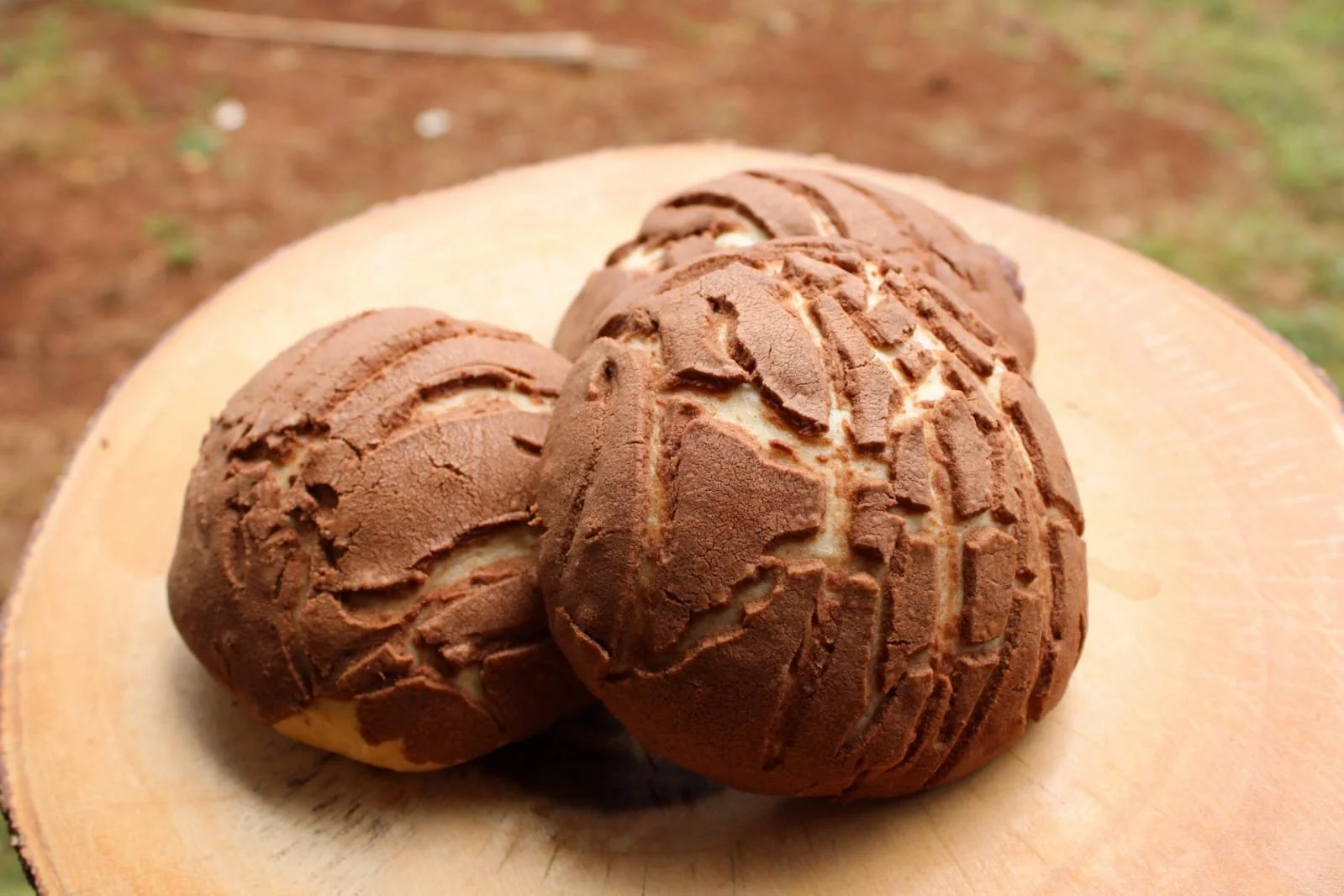 Livin' La Vida Conchas