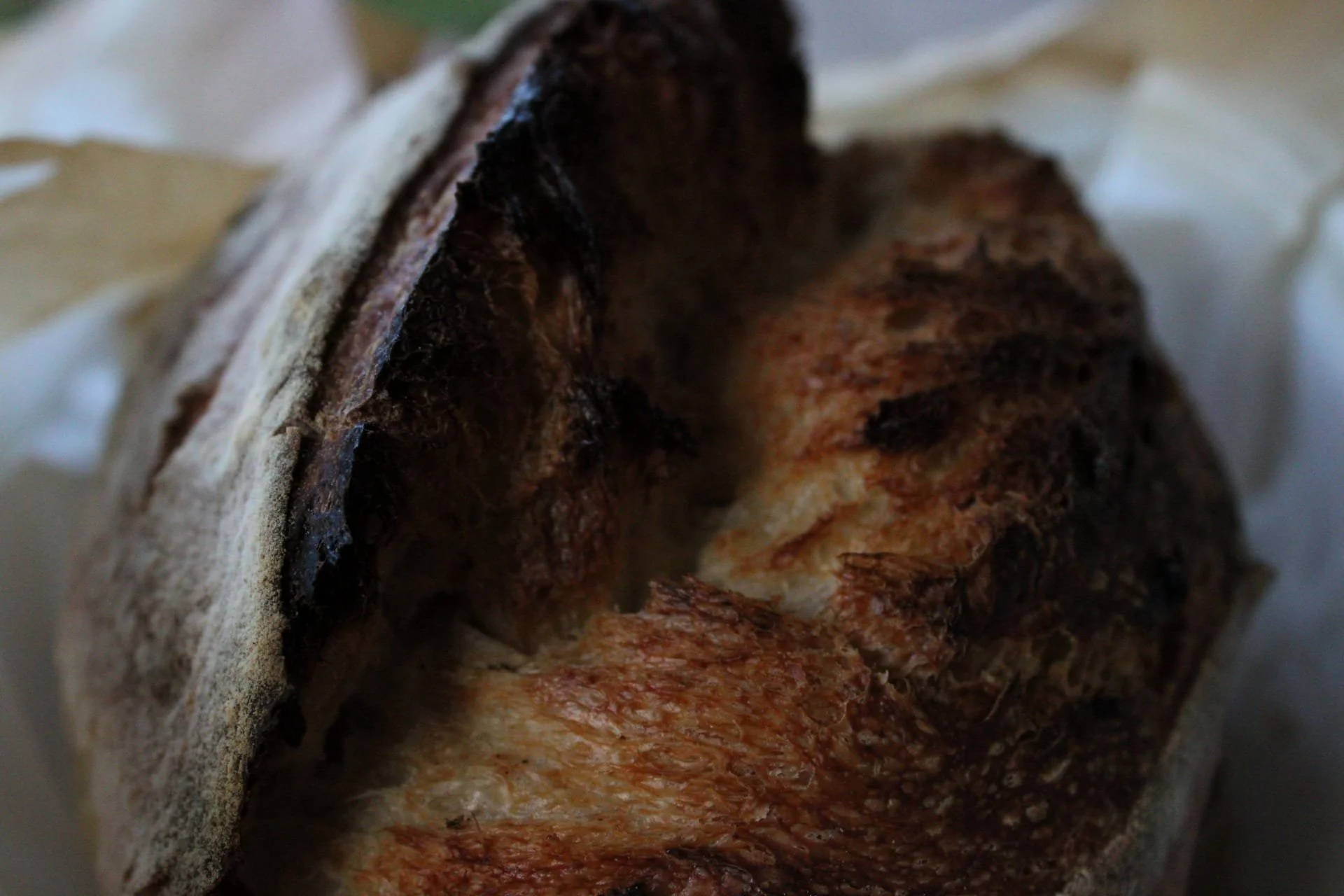sourdough1.jpeg