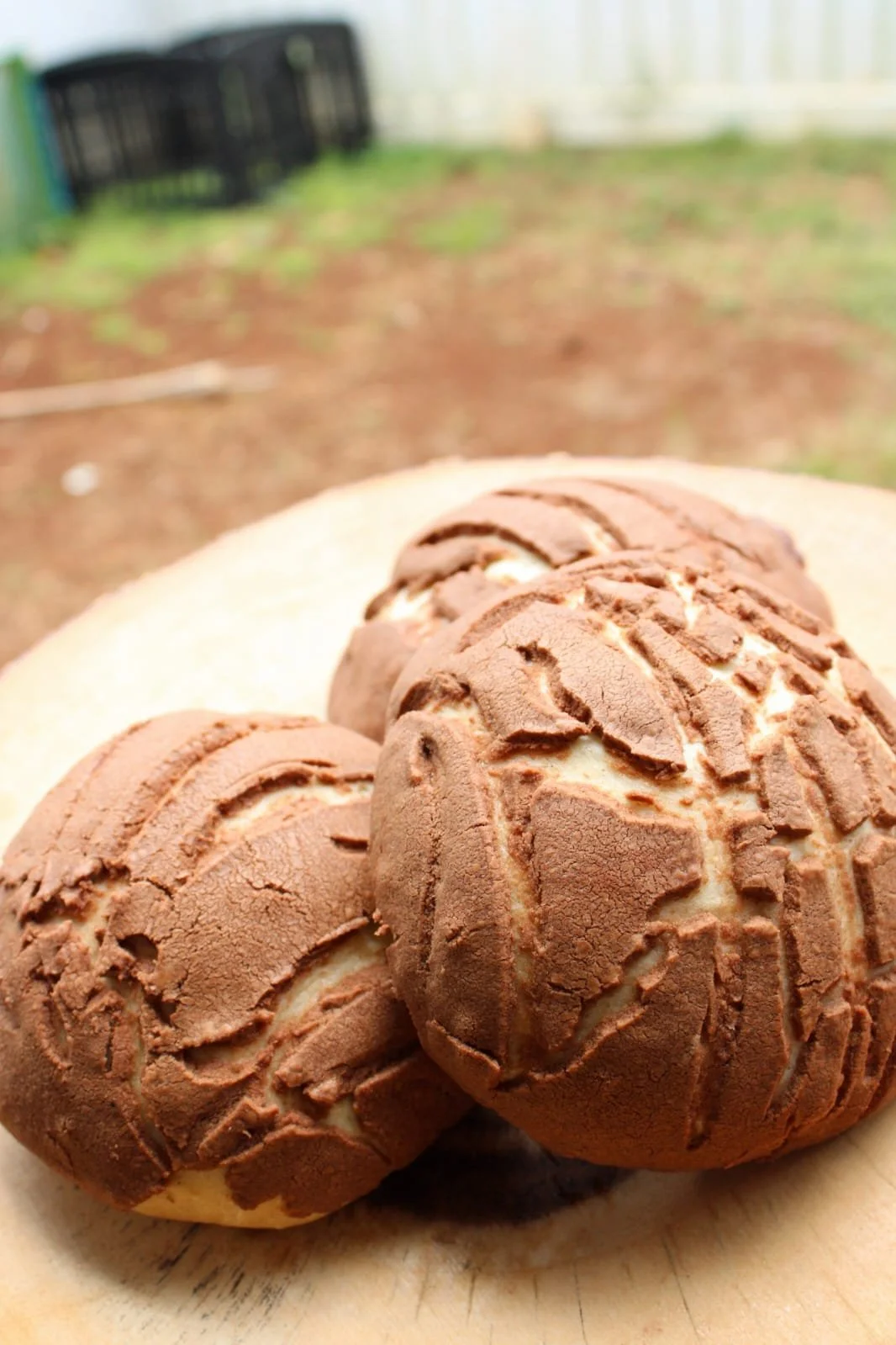 WhatsApp Image 2026-03-31 at 12.04.10.jpeg