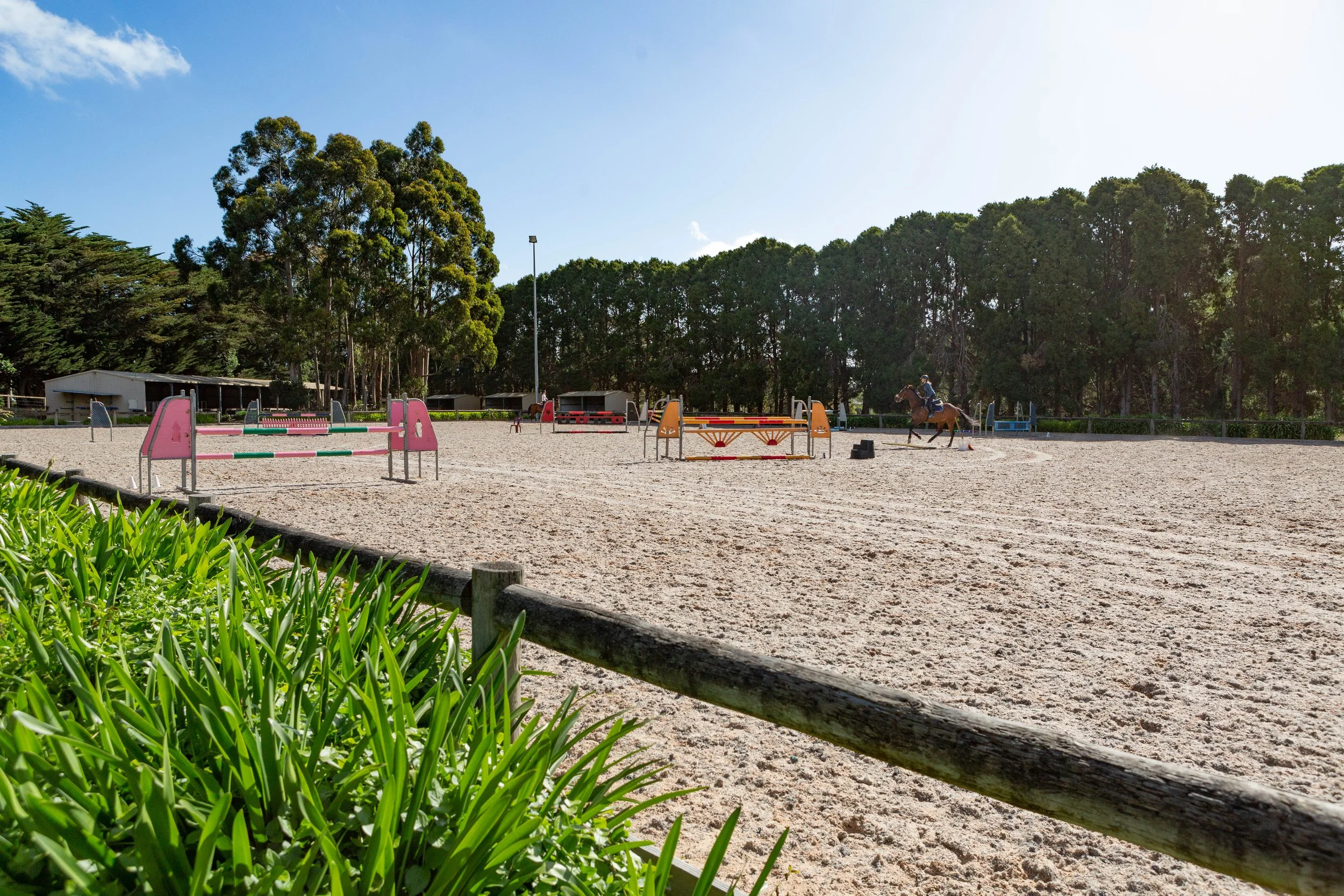 An outdoor horse riding arena with jumps set up for equestrian training. A rider on a horse is seen in the background. Surrounding the arena are lush trees and green plants in the foreground.