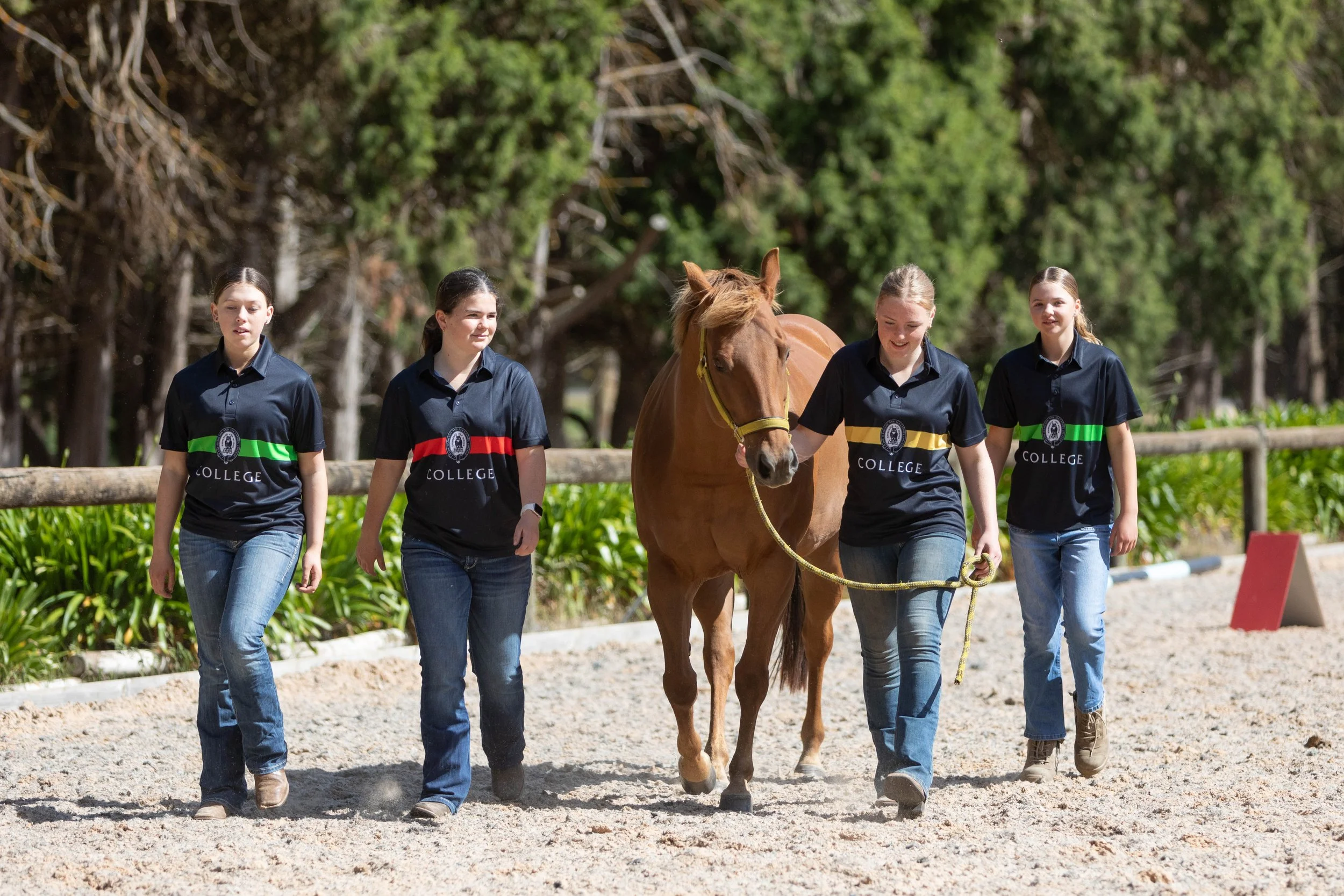 Four girls walking with a brown horse on a sunny day in a outdoor riding arena, with trees in the background.