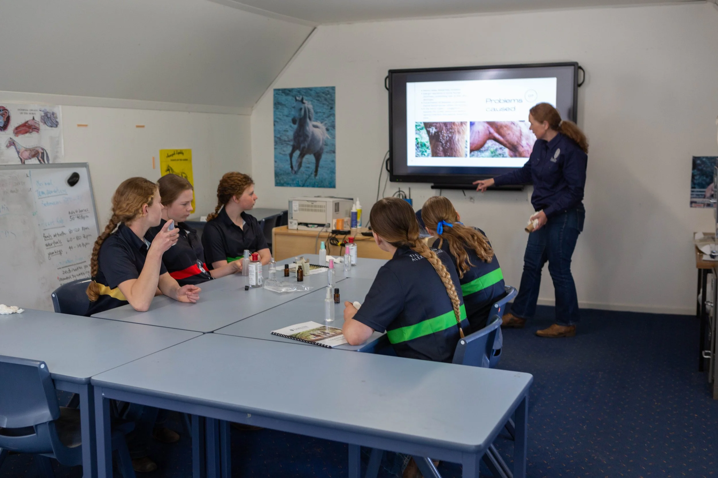 A classroom with a female teacher explaining a presentation on a large screen to a group of students. The students, four girls, are seated at a table with various supplies, and a whiteboard with notes and diagrams is on the left side of the room. Posters of animals are on the walls.
