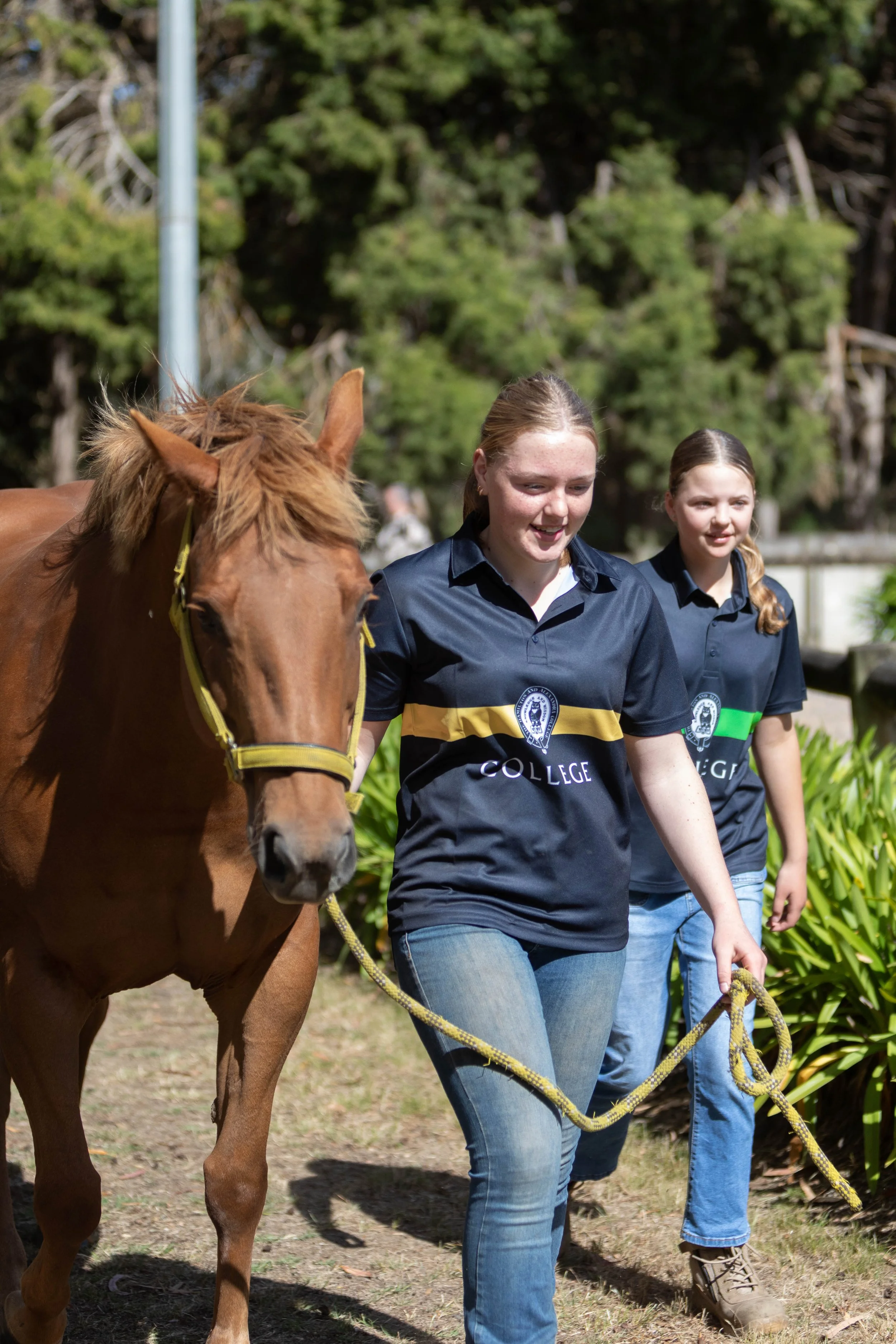 Two young women walking a brown horse outdoors on a sunny day, with trees and greenery in the background.