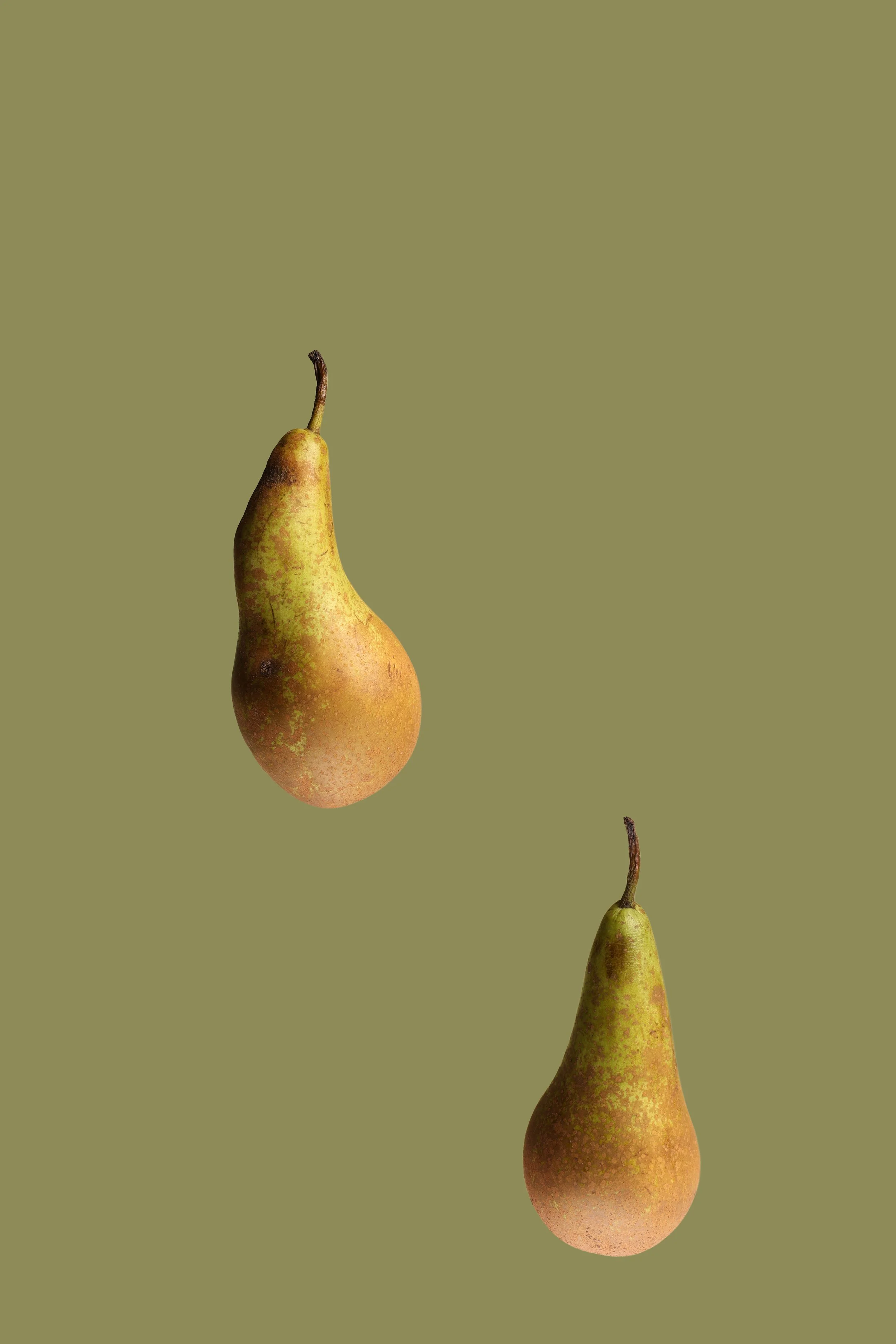 Two pears with greenish-brown skin on a green background.