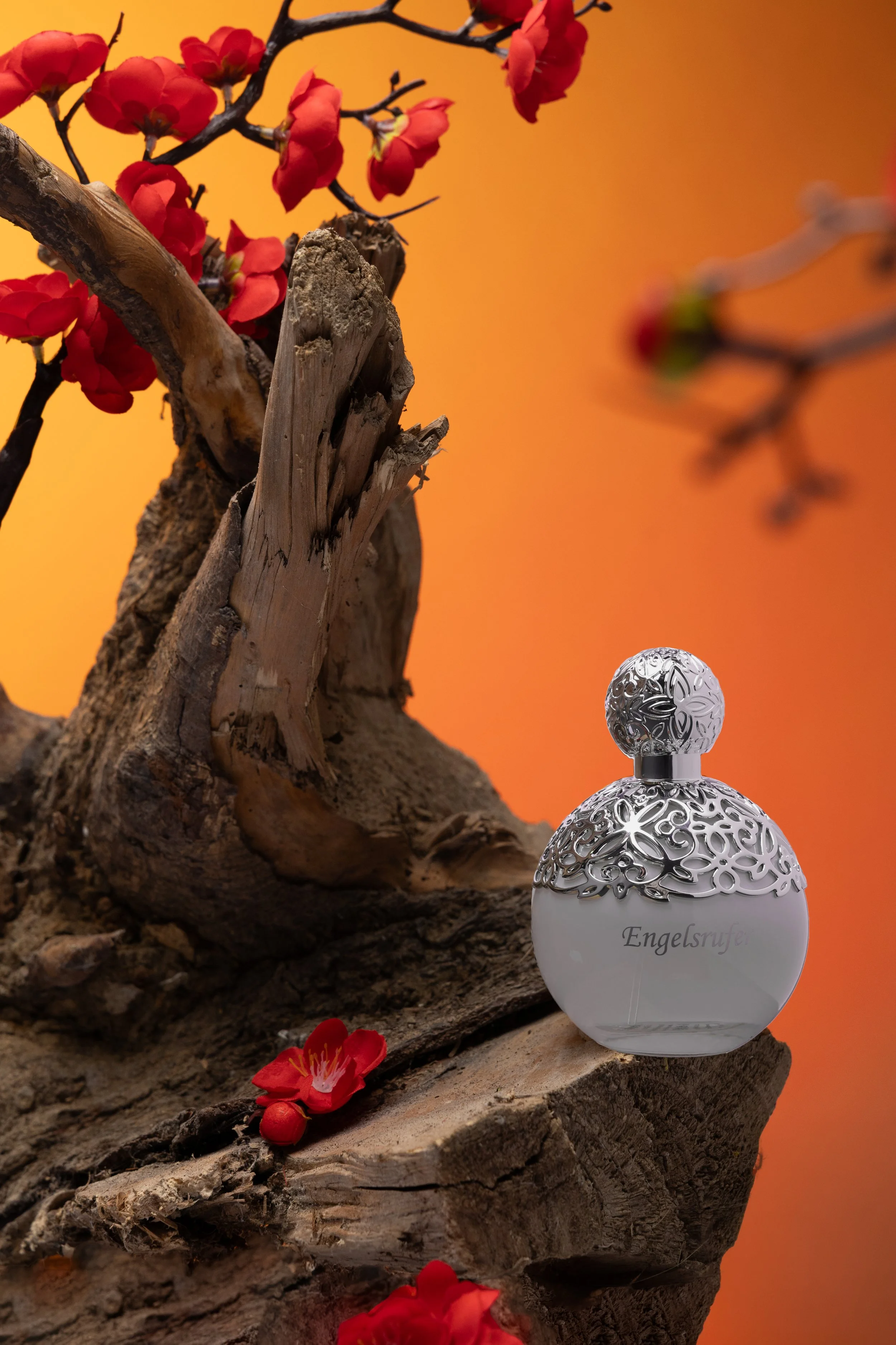 Capture Sans Titre1162-1.jpg