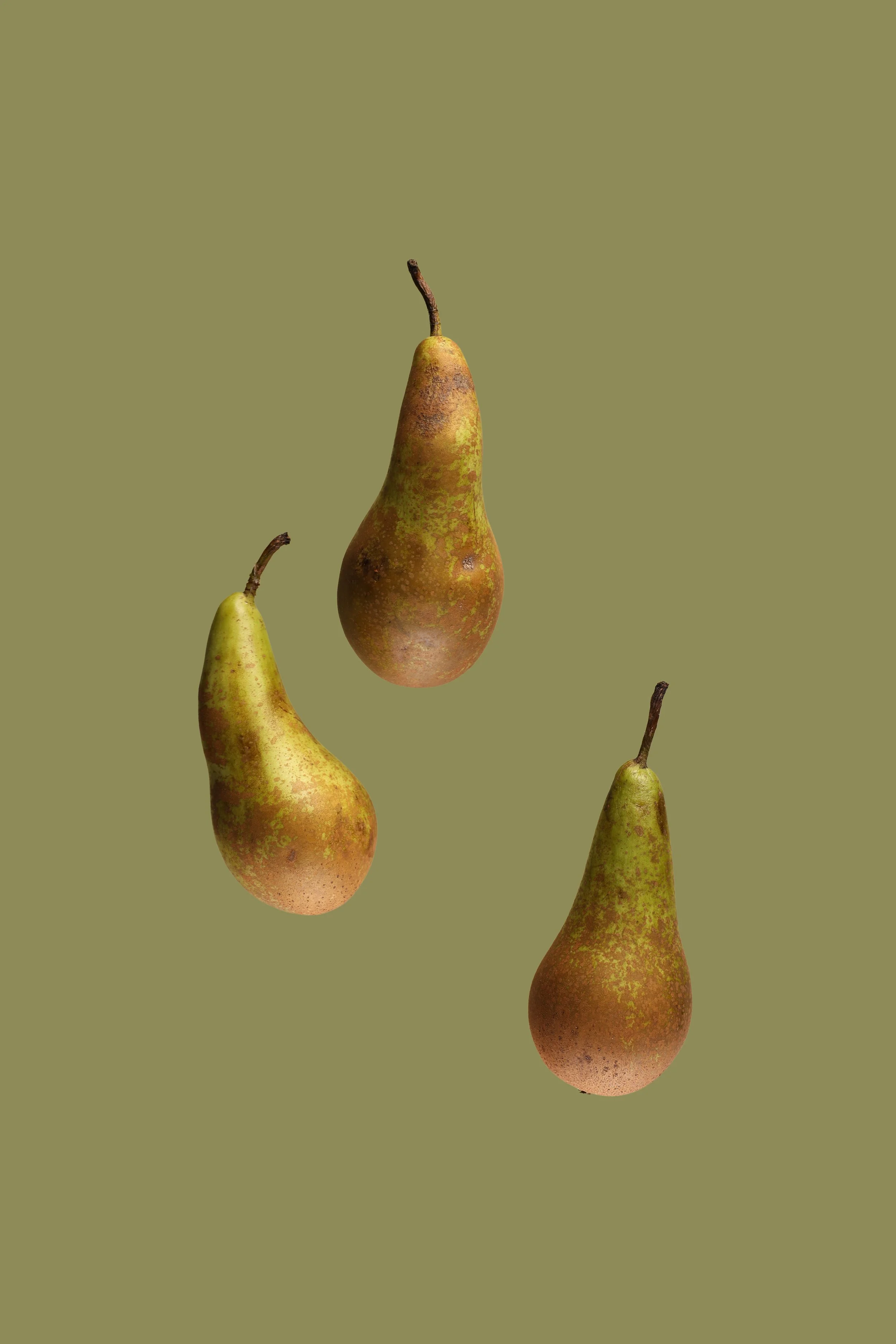 Three ripe pears with brown and green skin, hanging against an olive green background.