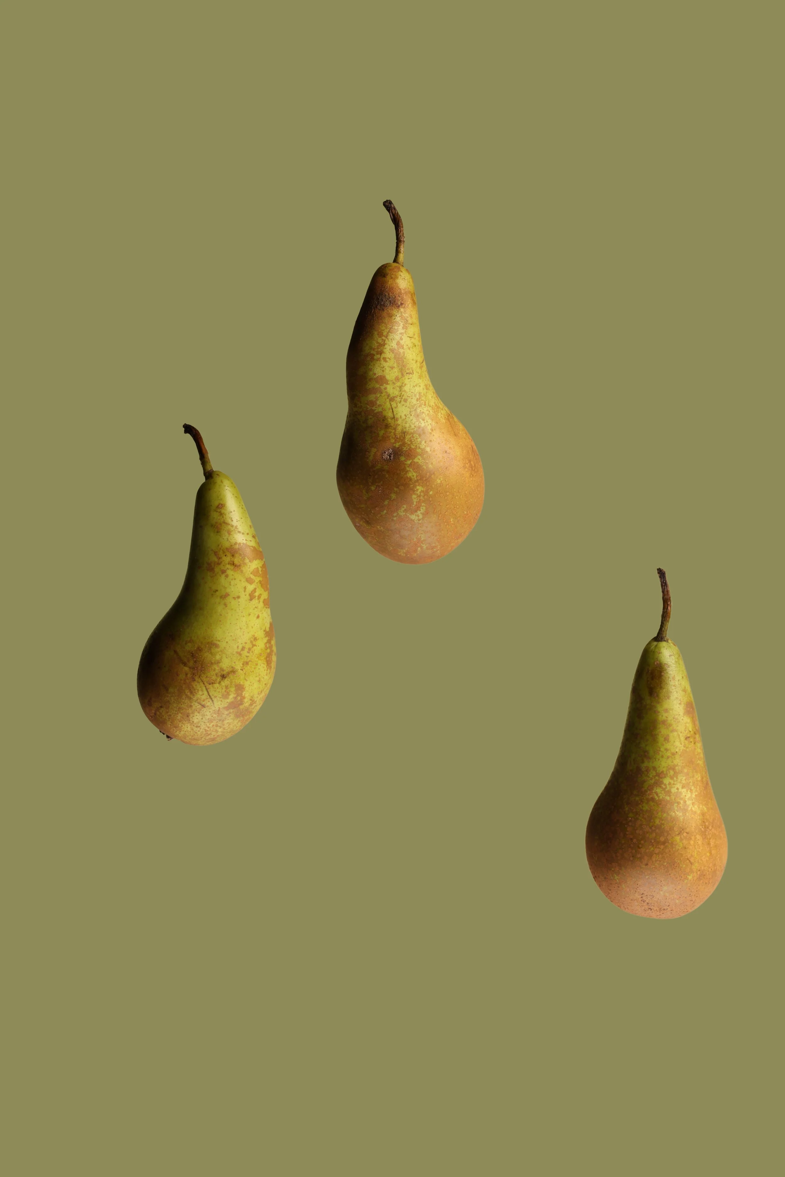 Three pears against a plain, muted green background.