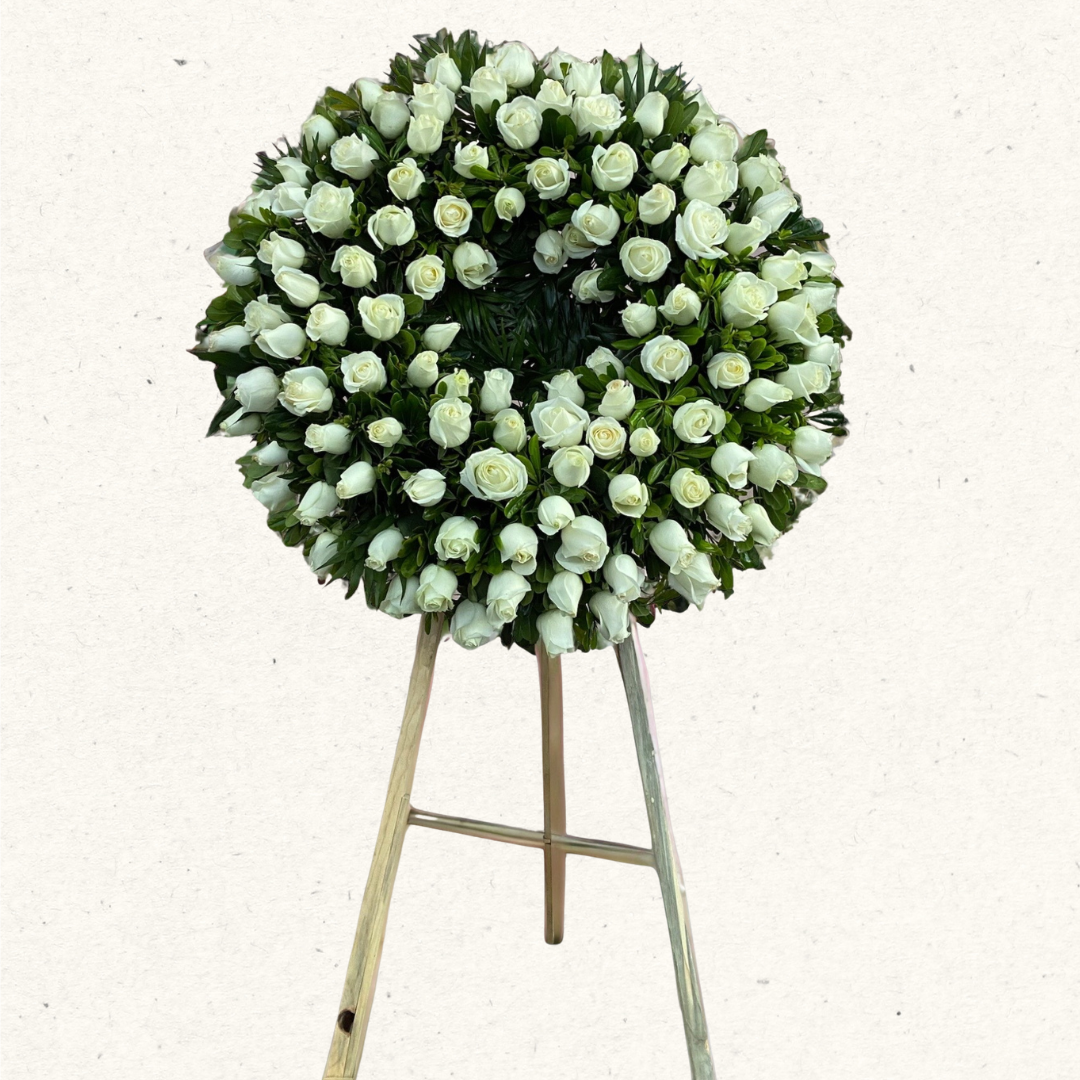 Artículos web ORQUIDEA - 13.png