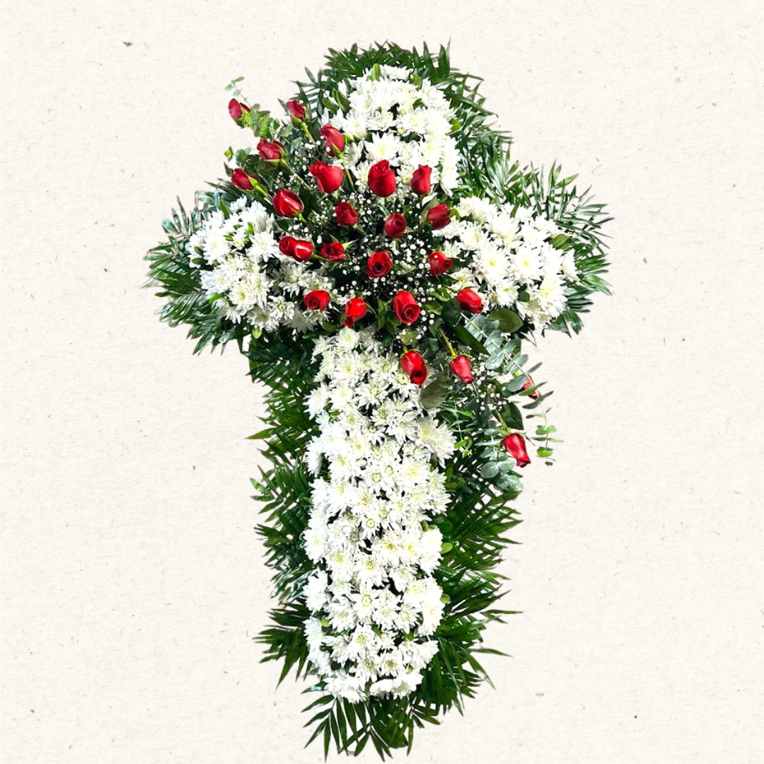 Artículos web ORQUIDEA - 8.png
