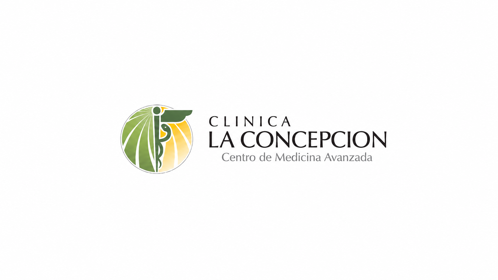 Clínica La Concepción 