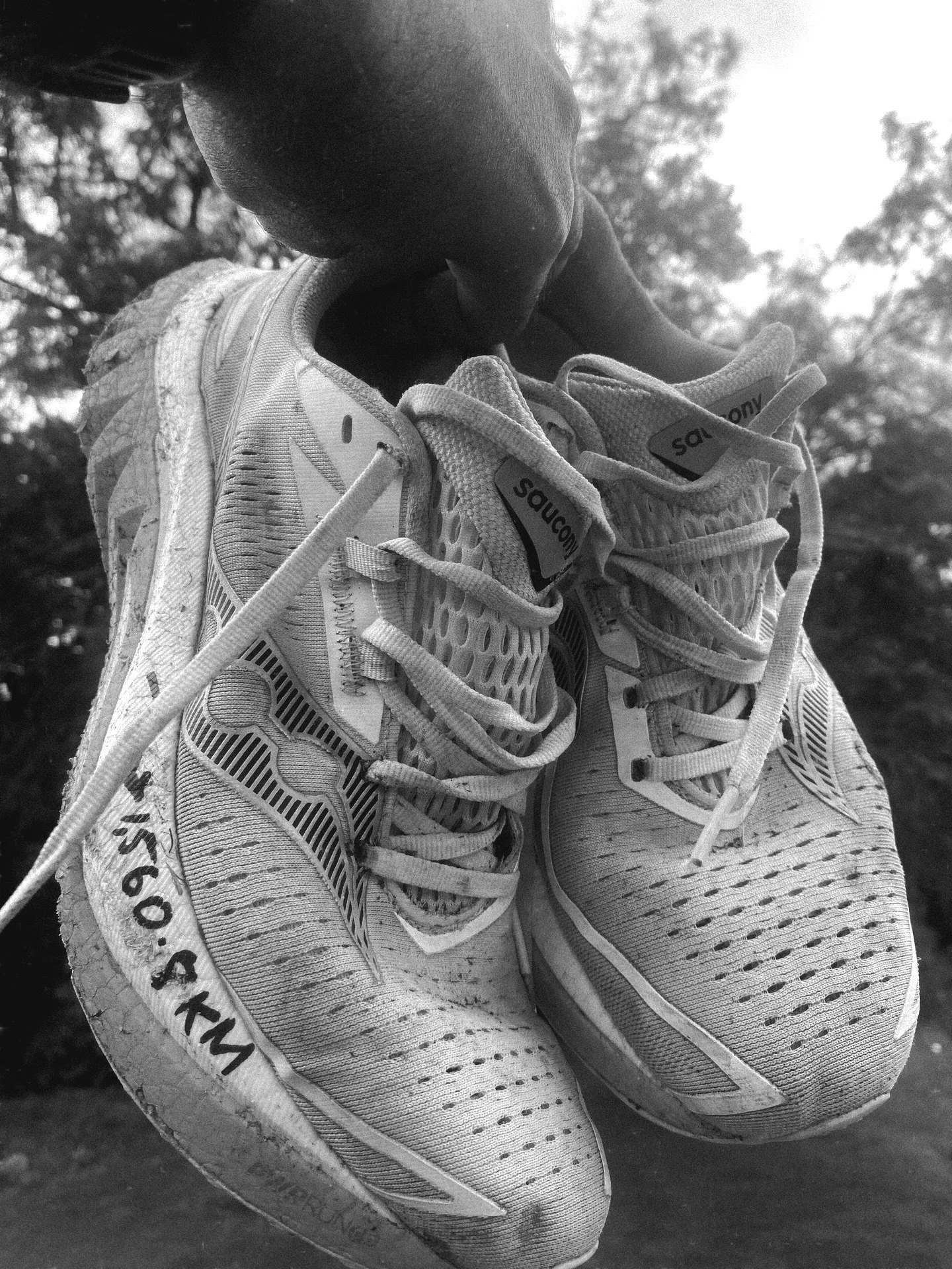 1,560.8KM

SOME GOODBYES ARE BETTER LEFT UNSAID - KAIMĀERO ❤️&zwj;🩹